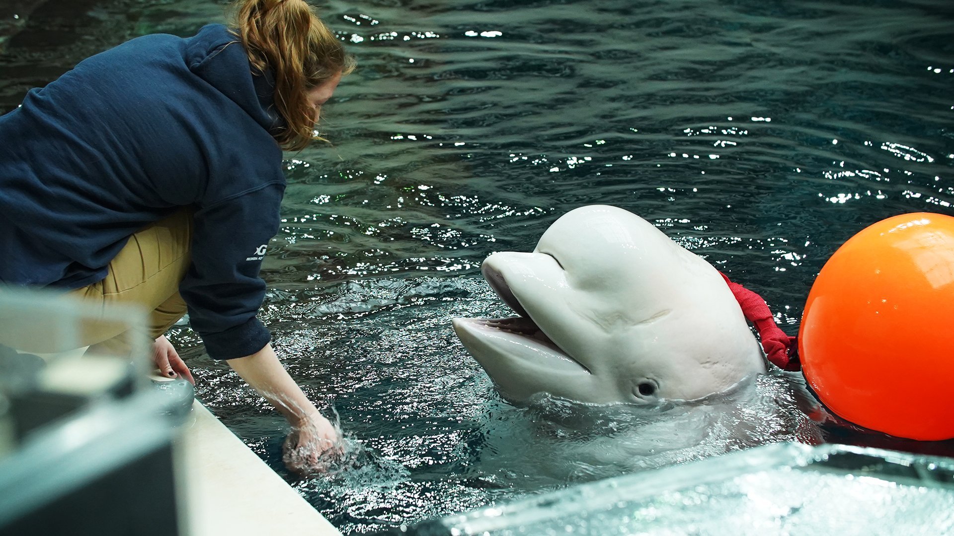 6. Maggie The Magnificent