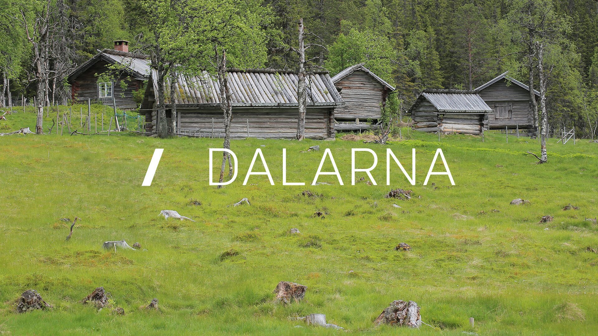 SVT Nyheter Dalarna
