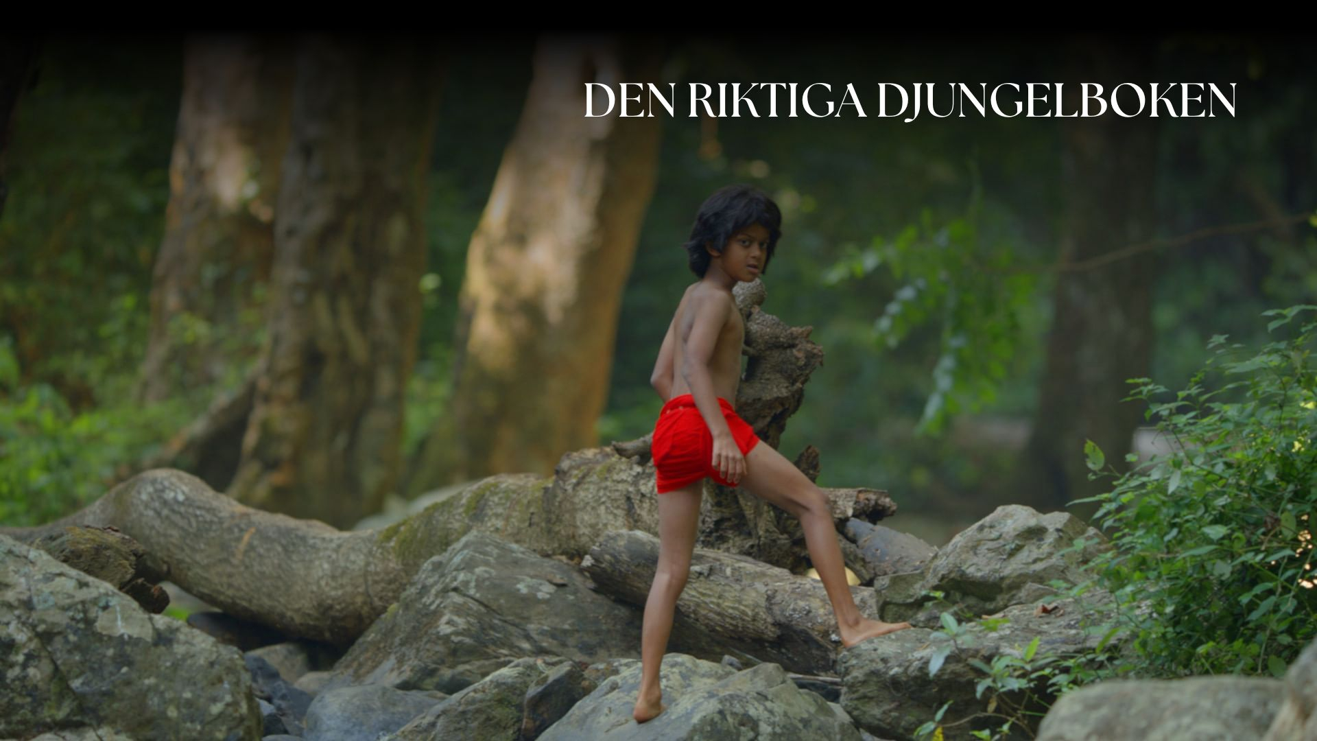 Den riktiga djungelboken