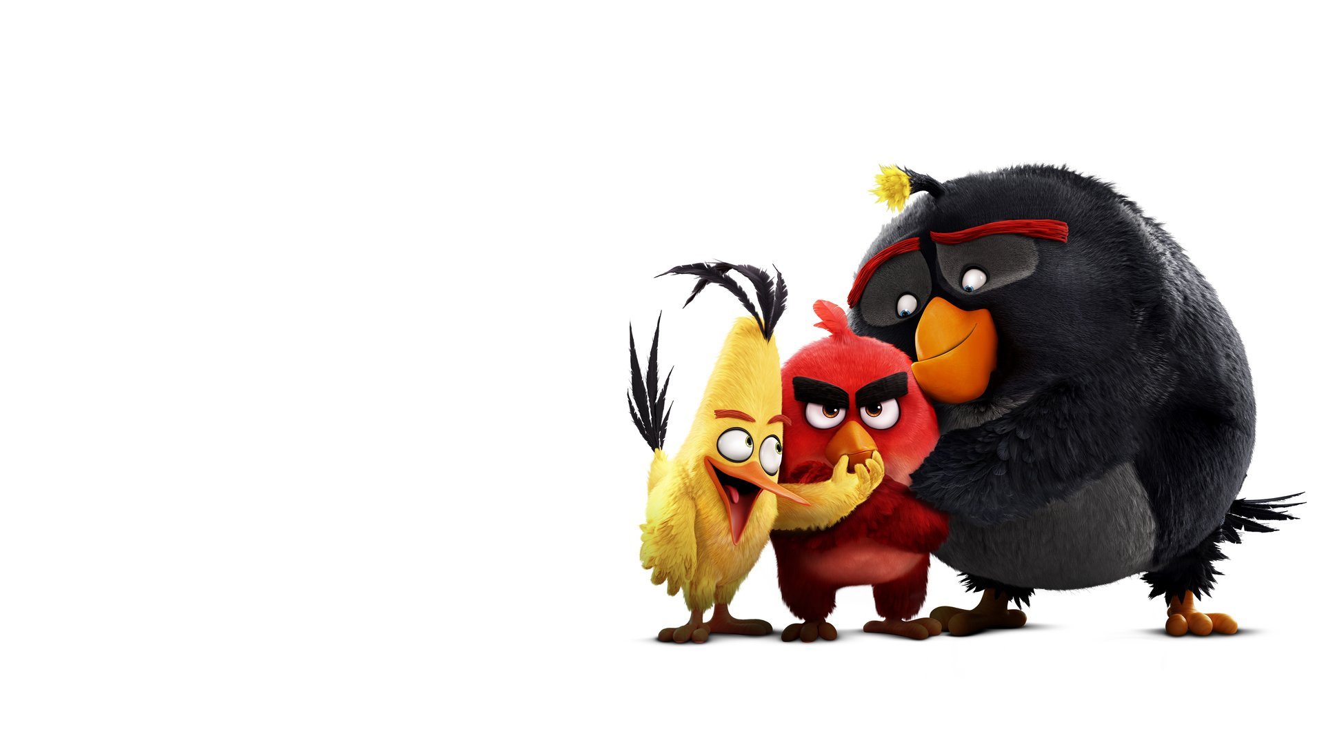 The Angry Birds Movie