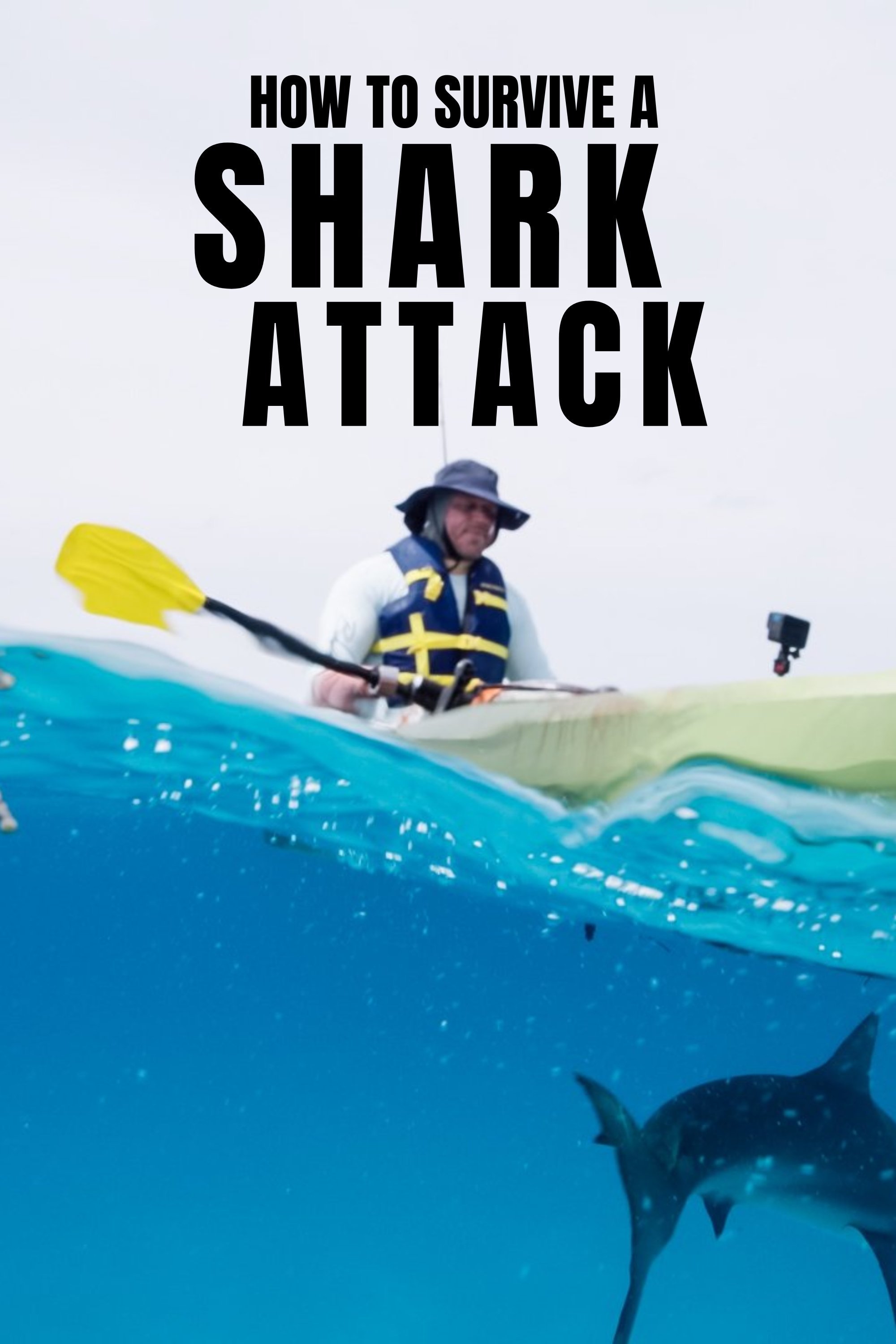 How To Survive A Shark Attack