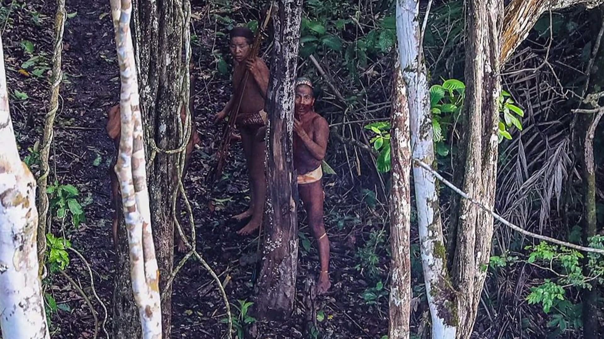 Mysteries of the Missing