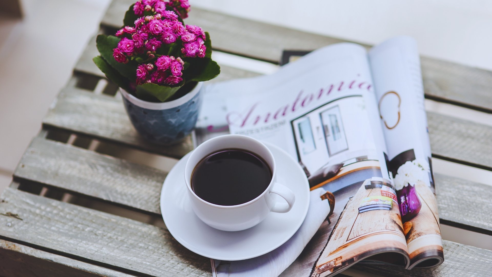 Fashion Magazines