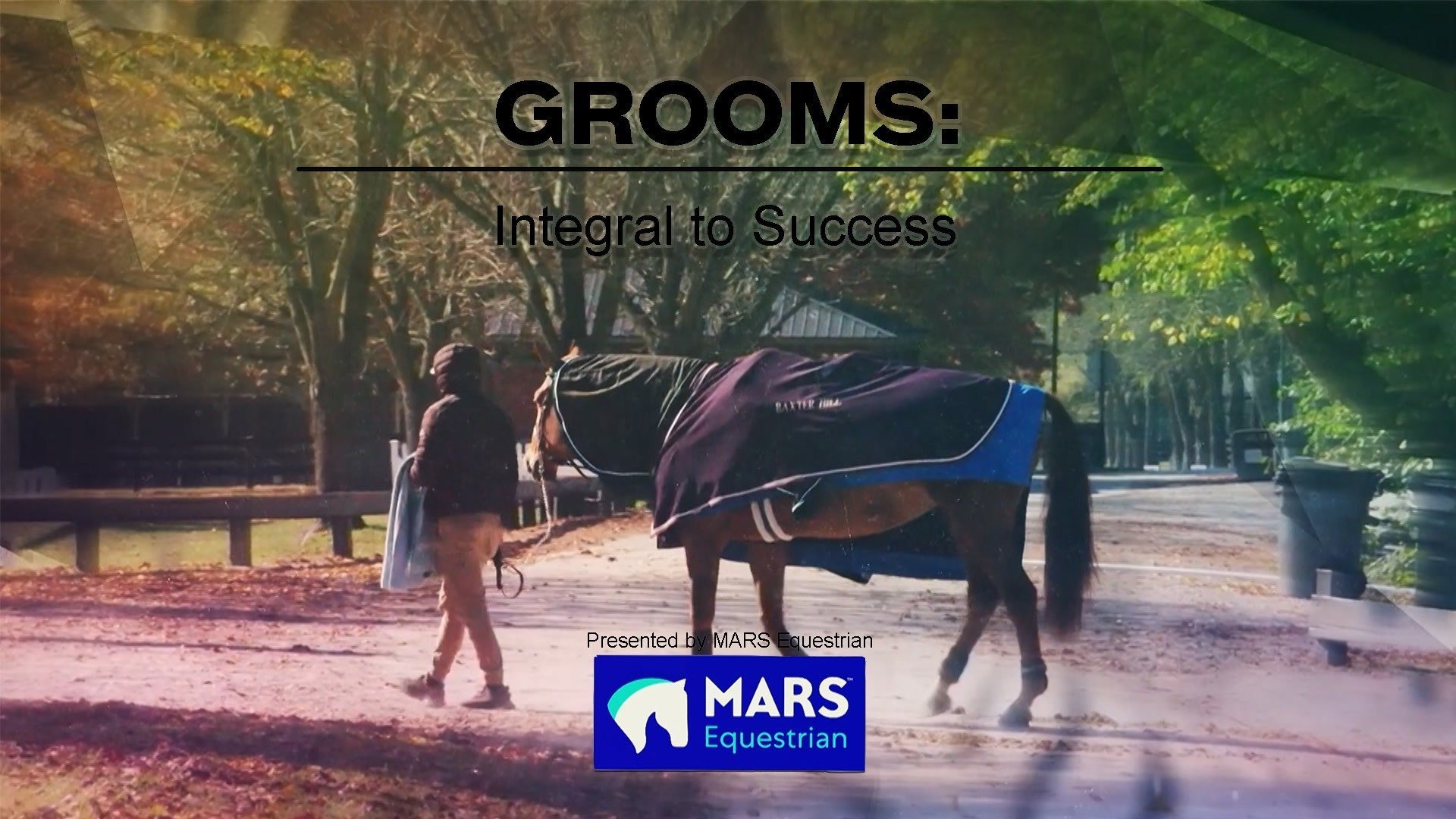 Grooms: Integral to Success, Presented By Mars Equestrian