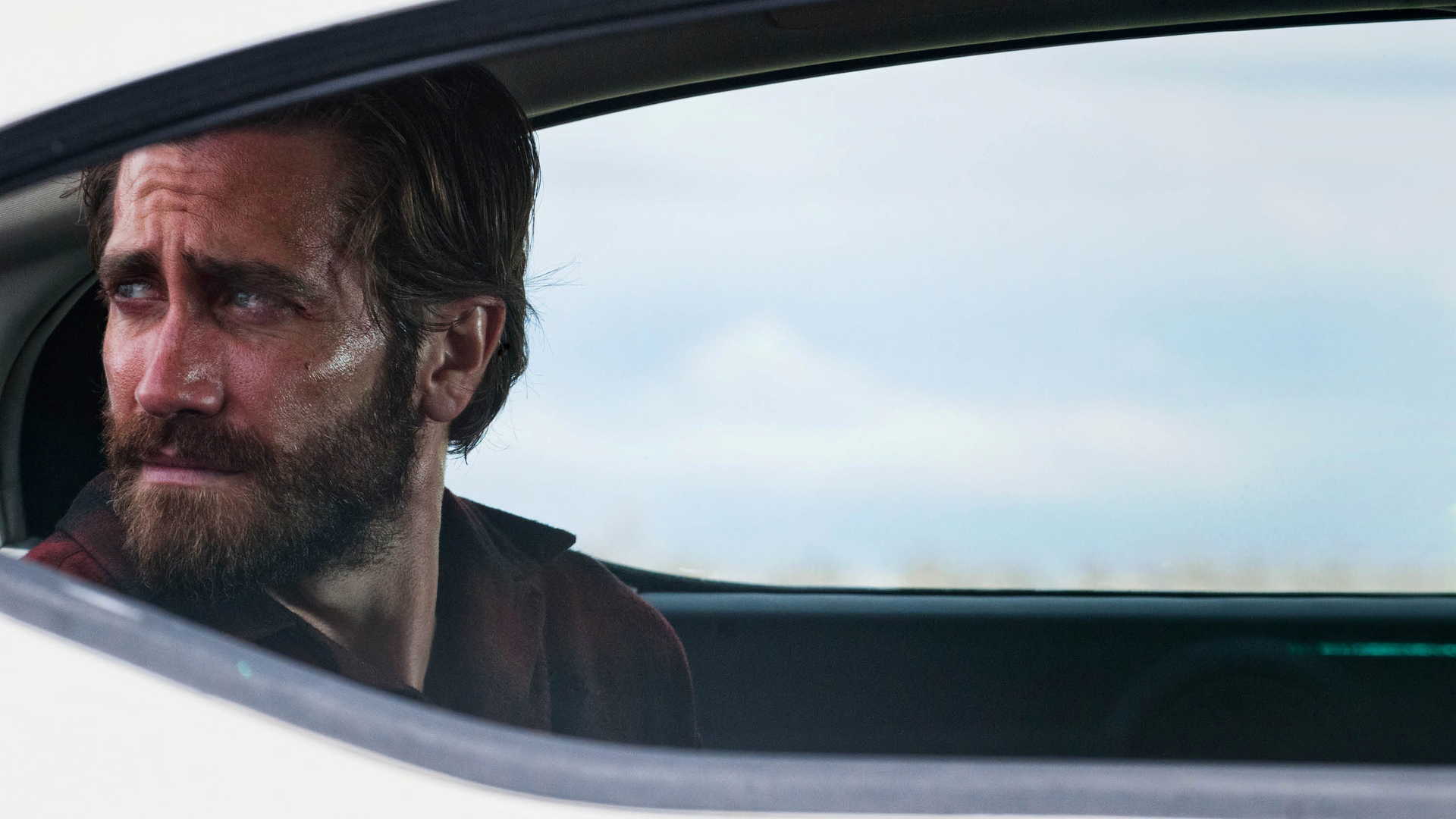 Nocturnal Animals