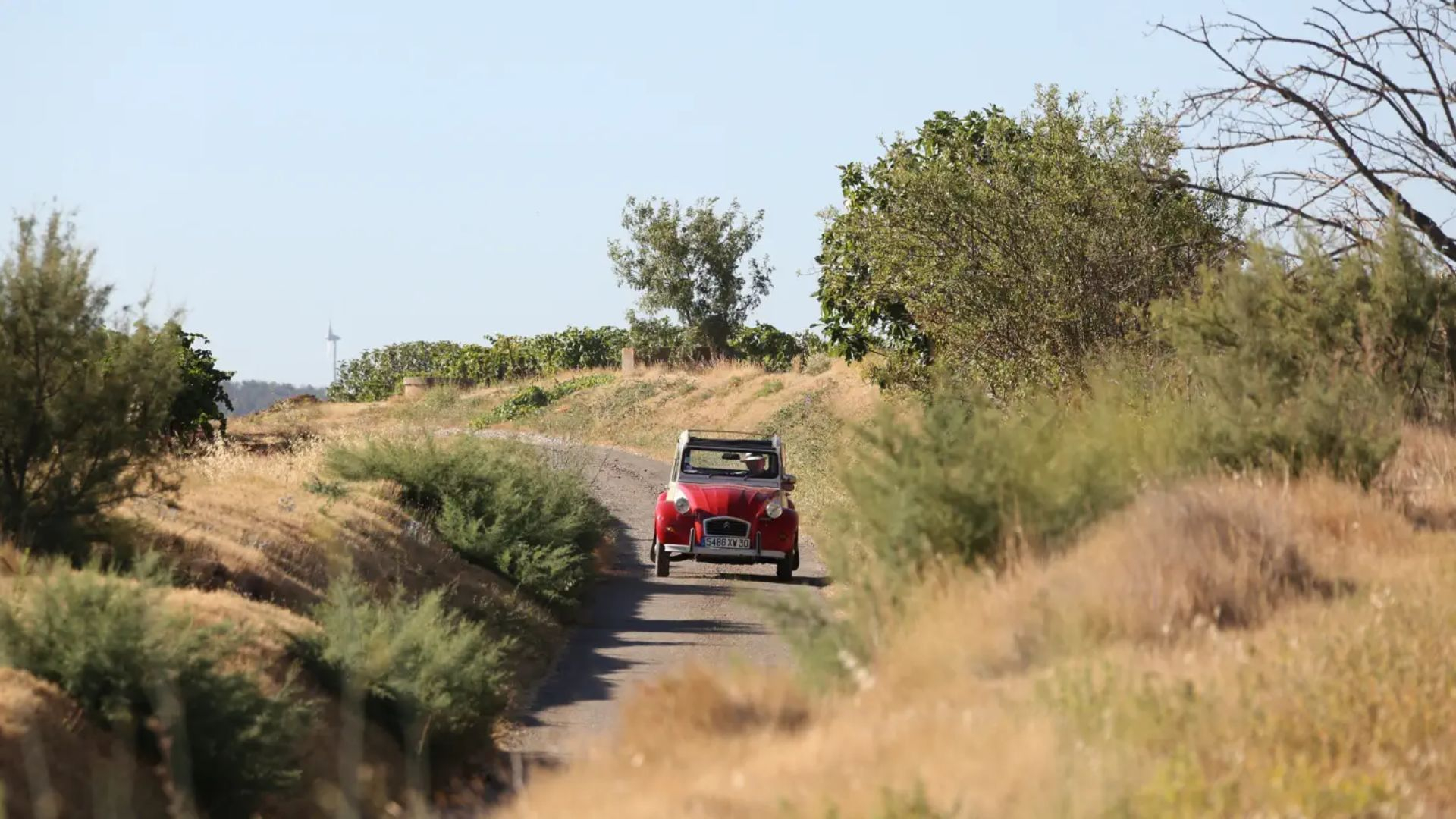3. Languedoc