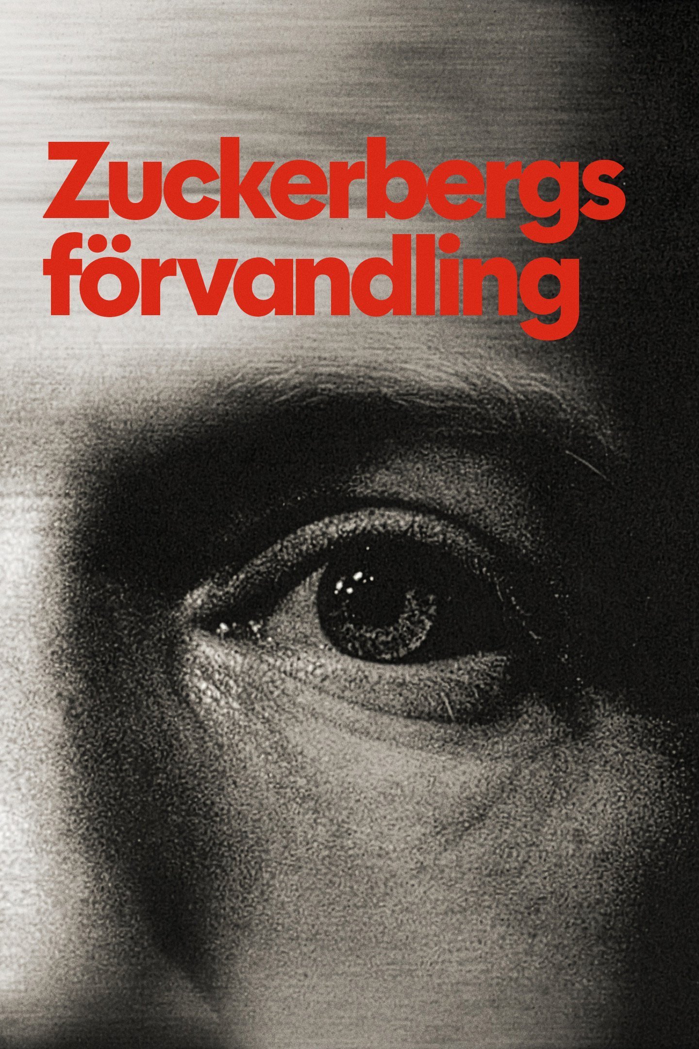 Dokument utifrån: Zuckerbergs förvandling 