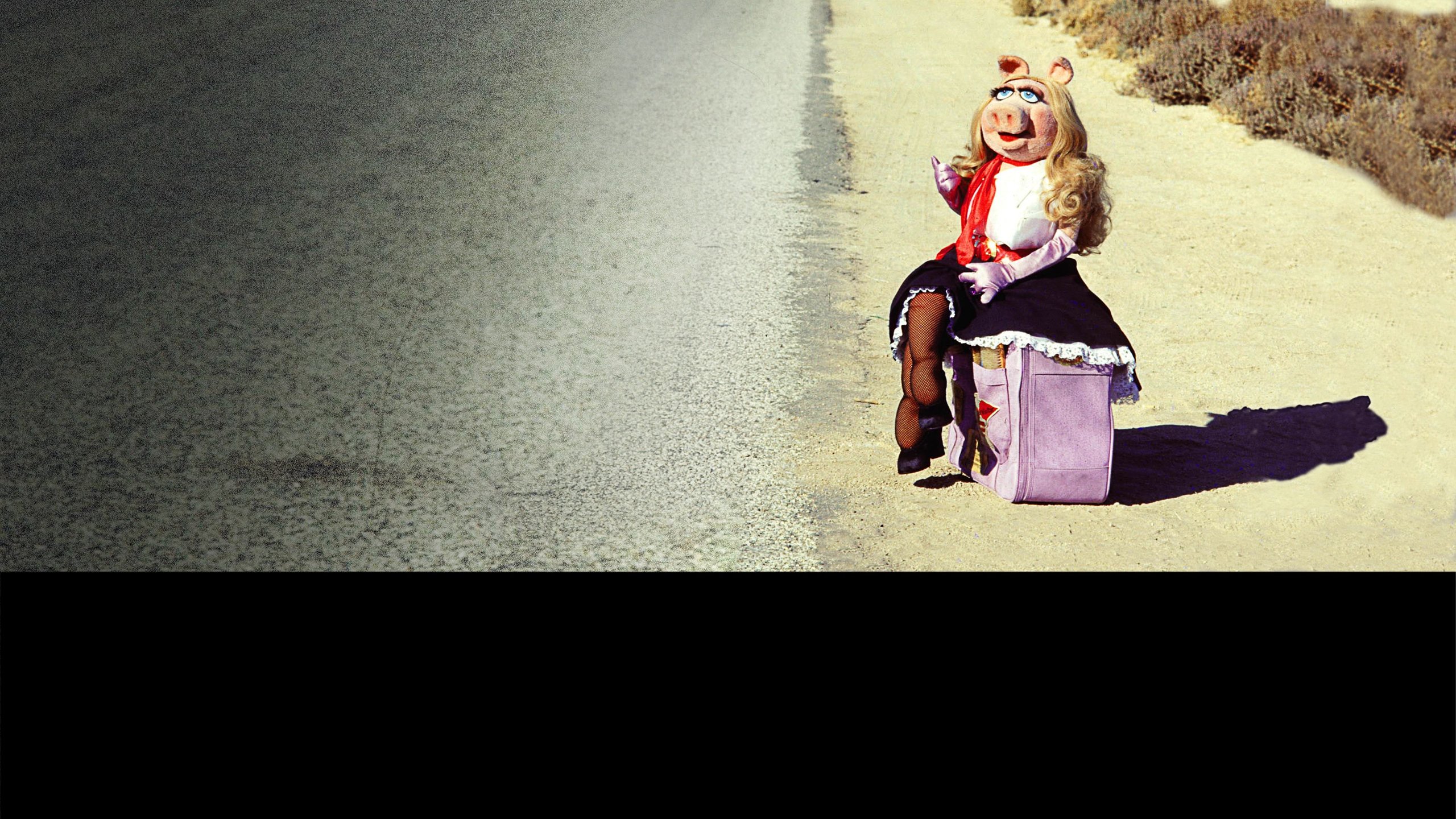 The Muppet Movie