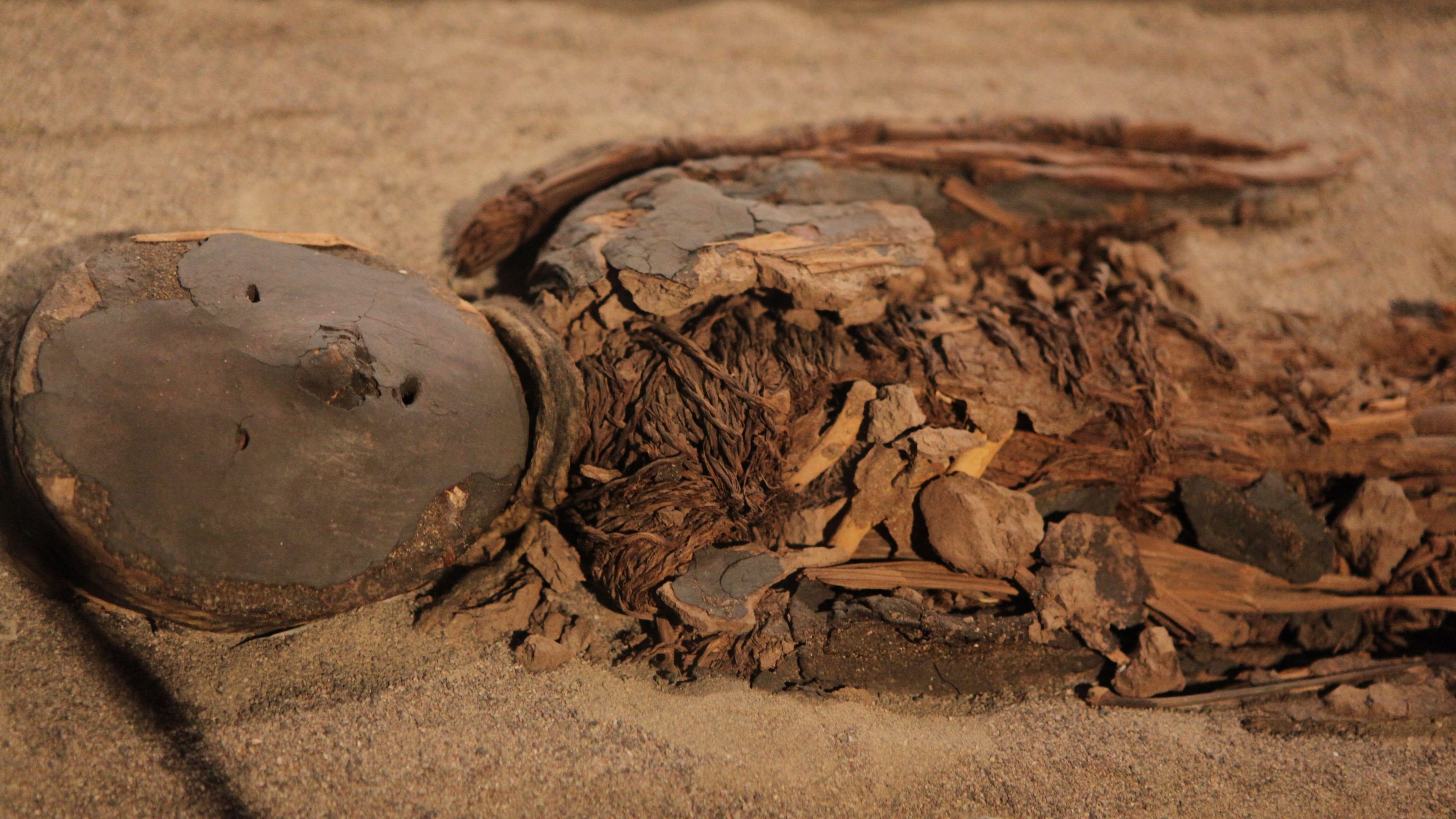 1. Secrets in the Sand