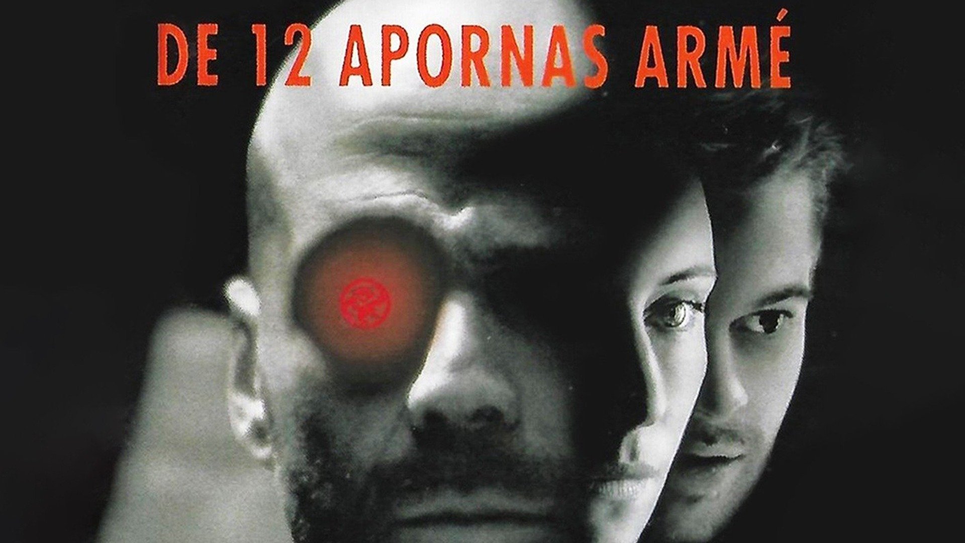 De 12 apornas armé