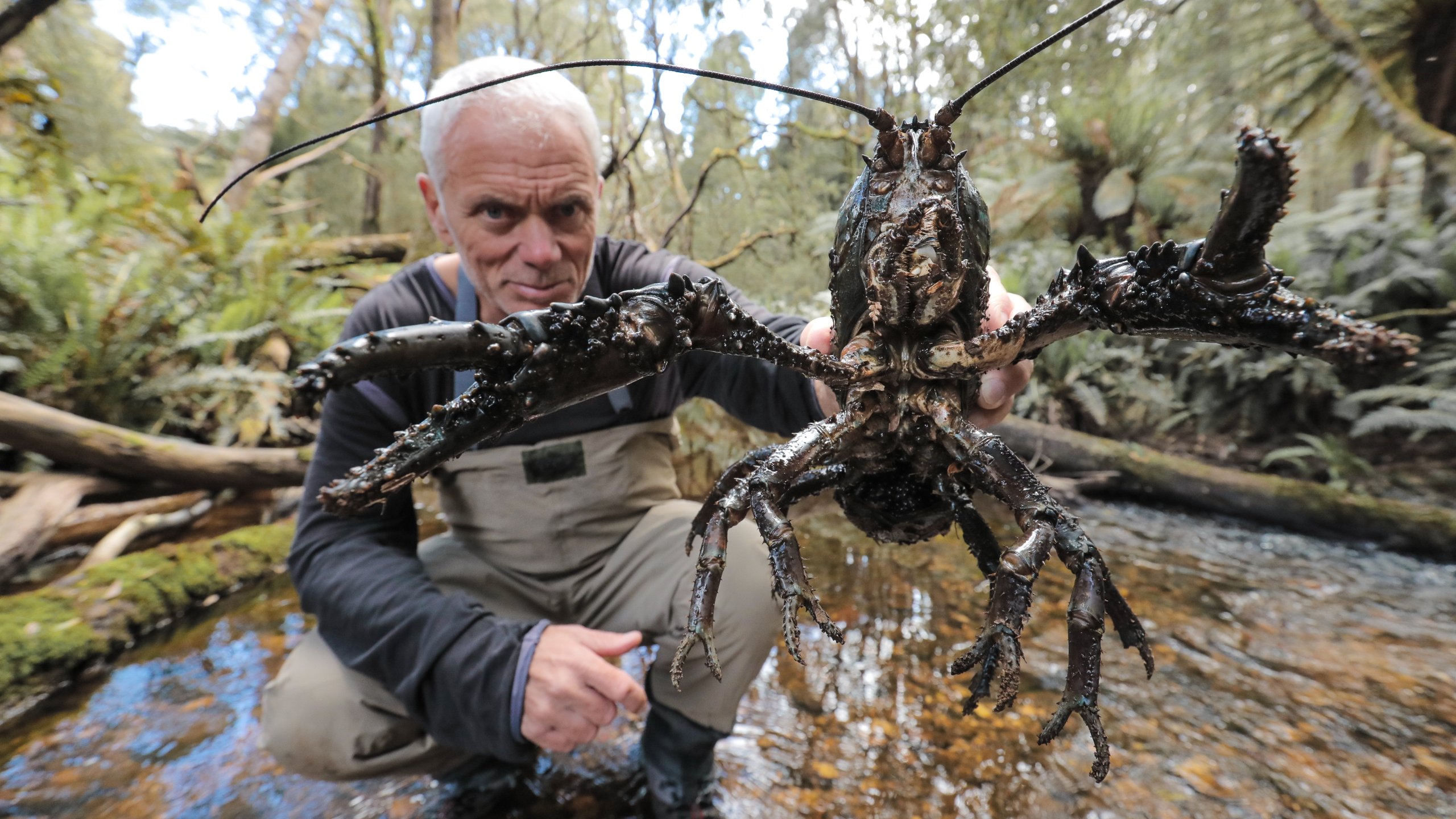 7. Jurassic River Beast