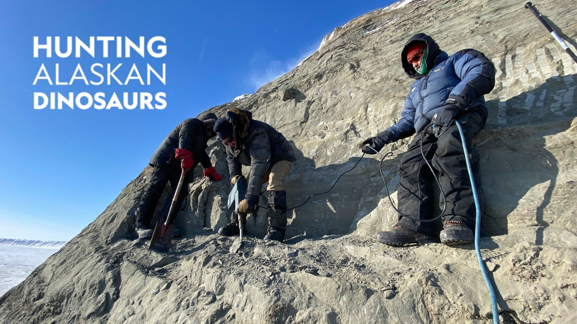 Hunting Alaskan Dinosaurs