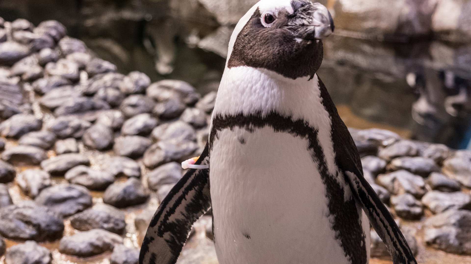 1. Slimy Is The New Fuzzy