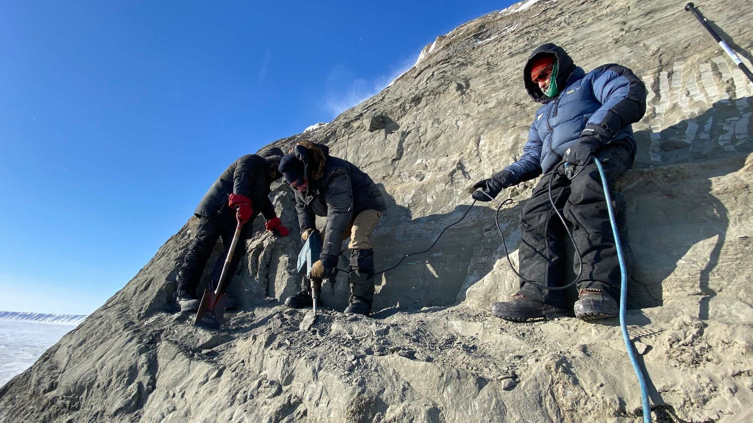 Hunting Alaskan Dinosaurs