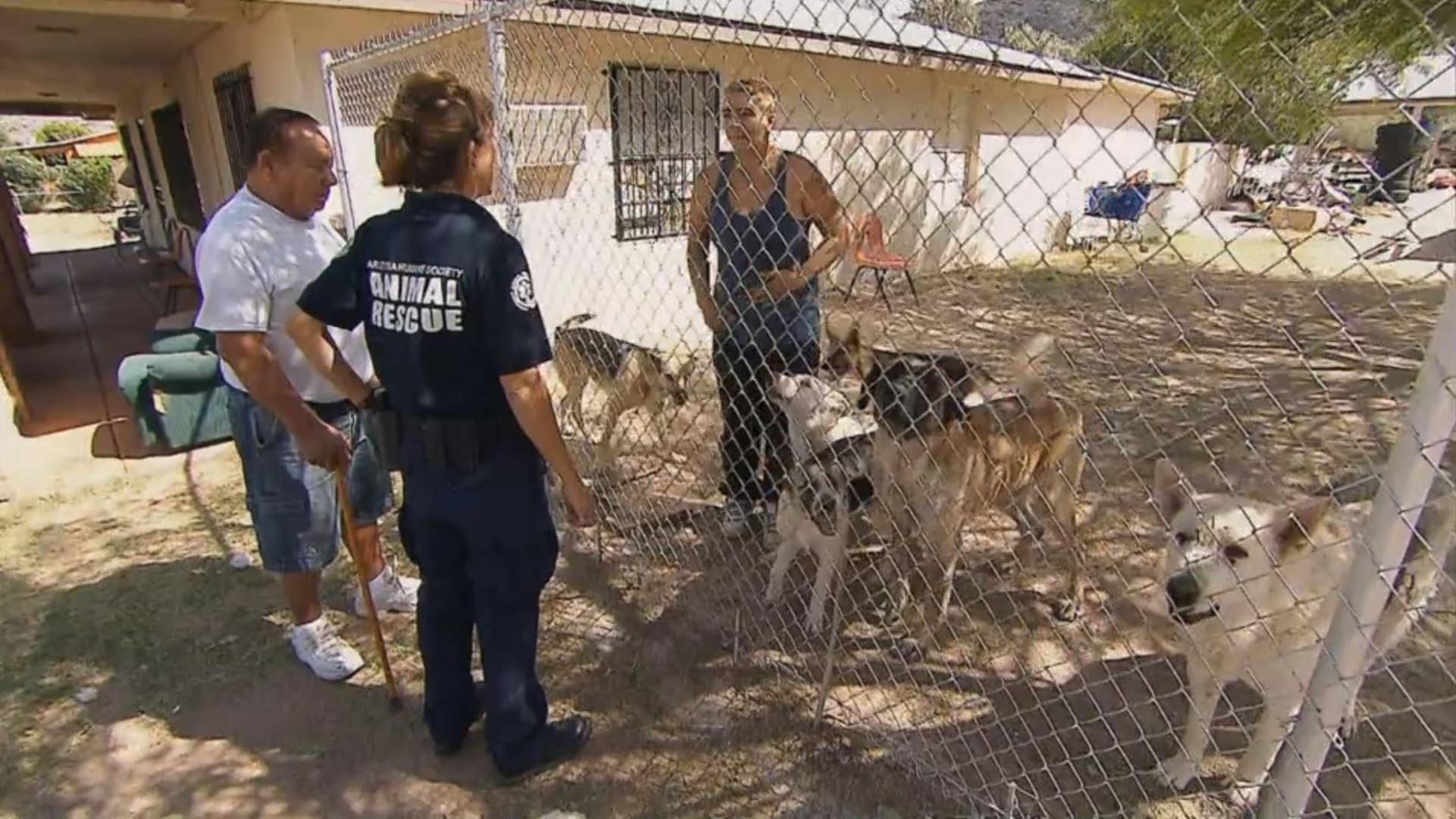 12. Harness of Horror