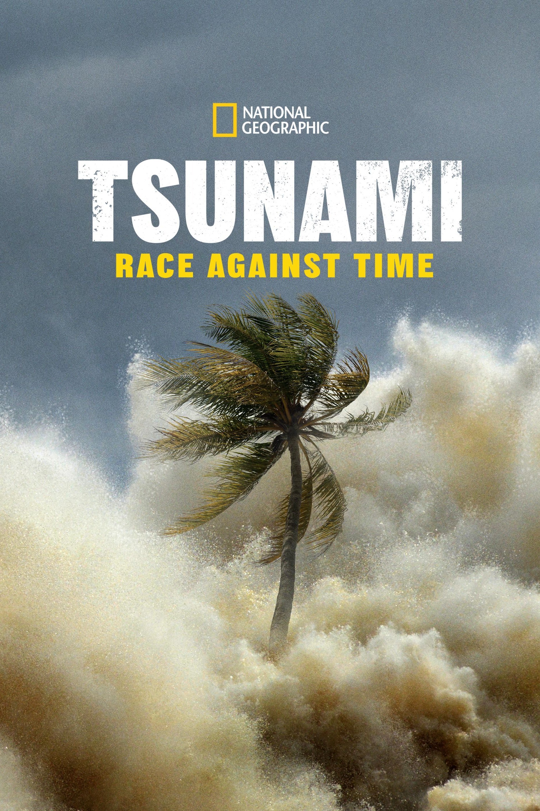 Tsunami: Race Against Time