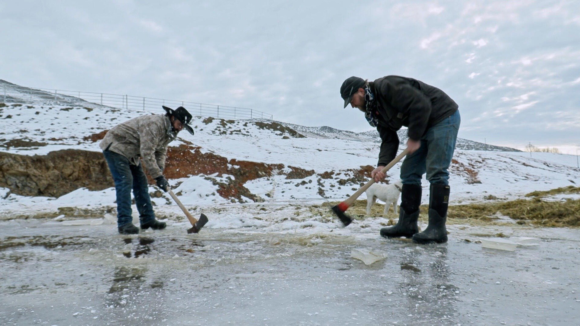 8. Winter Kill