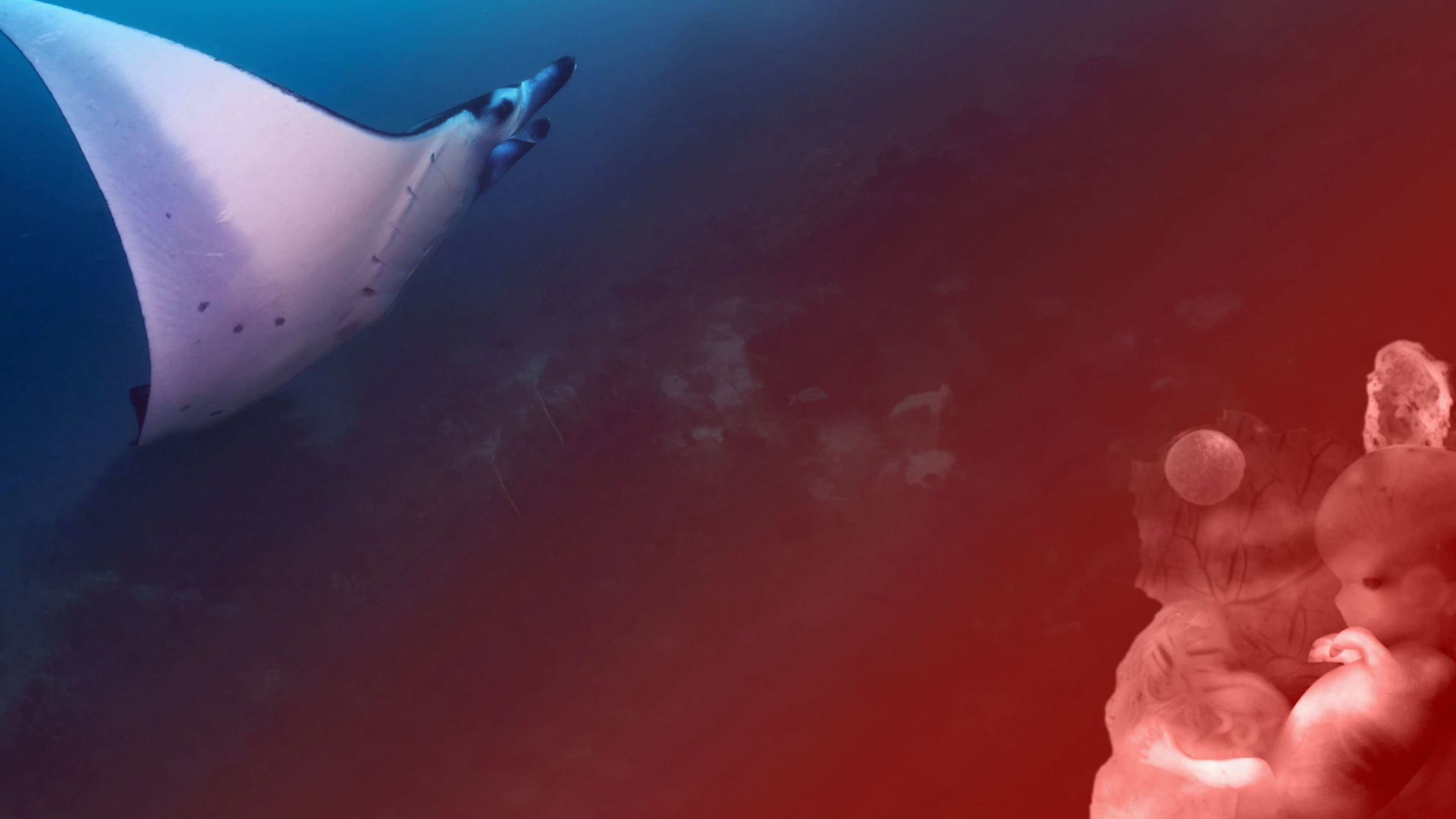 Water: The Strangest Liquid