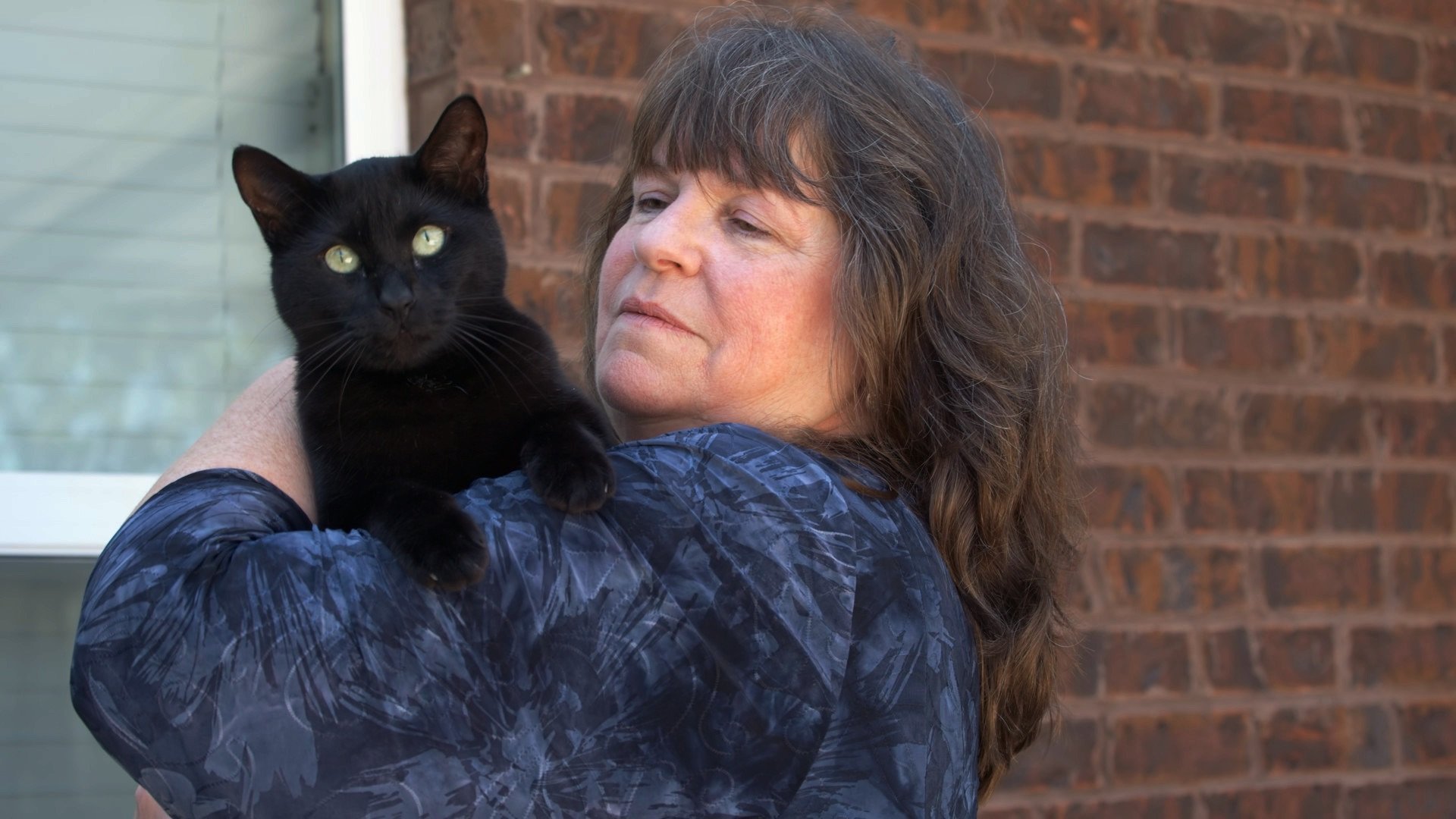 10. A Cat on the Runway and a Runway Dress