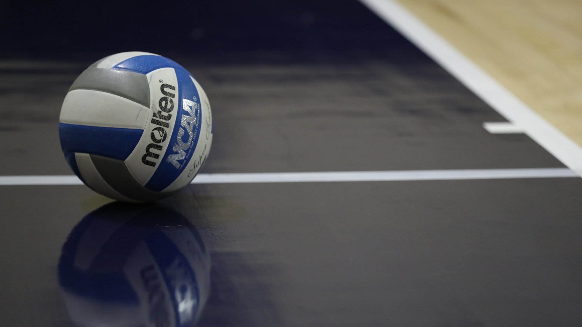 NCAA Women's Volleyball