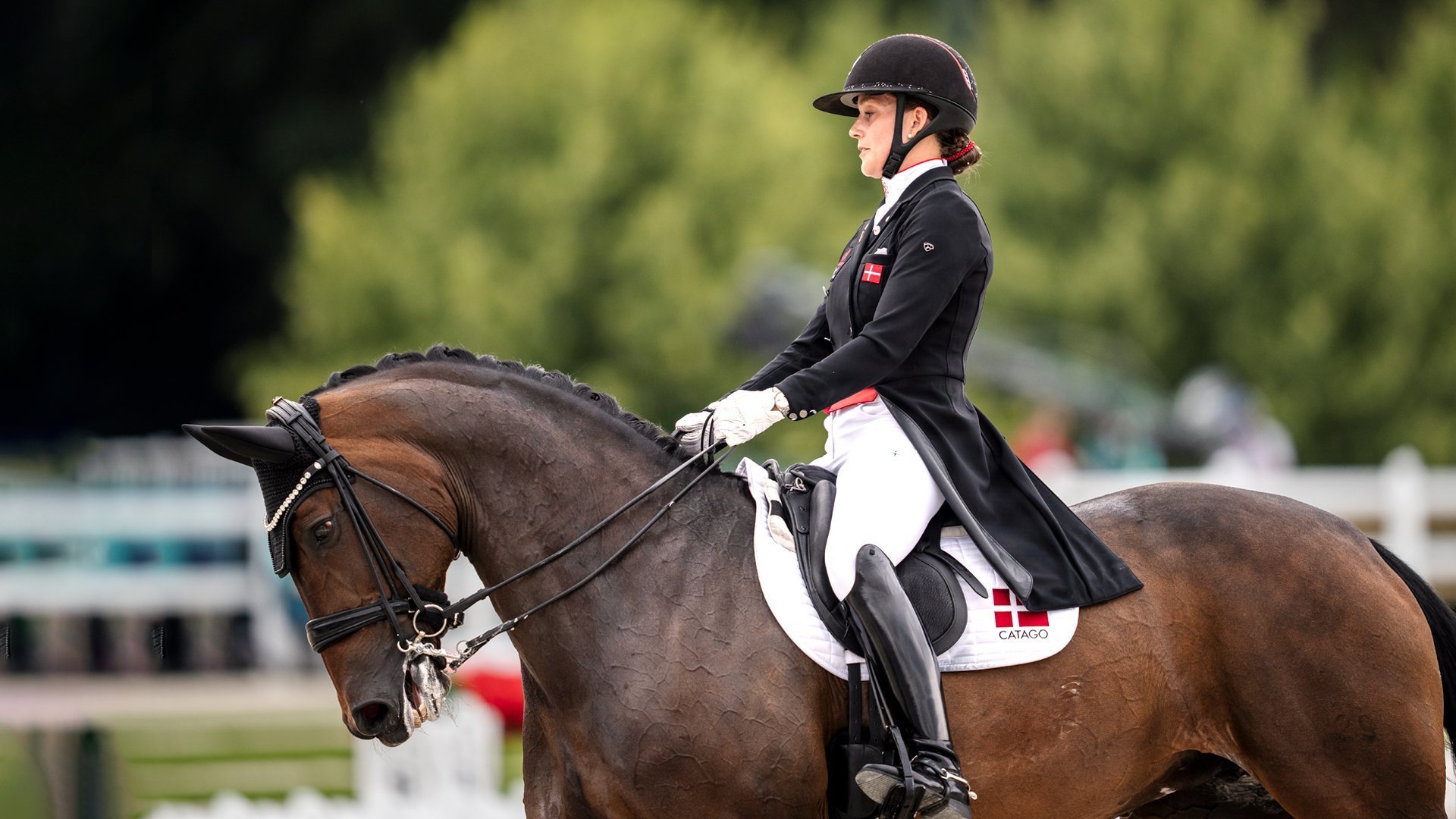 Equestrianism: World Dressage Championship
