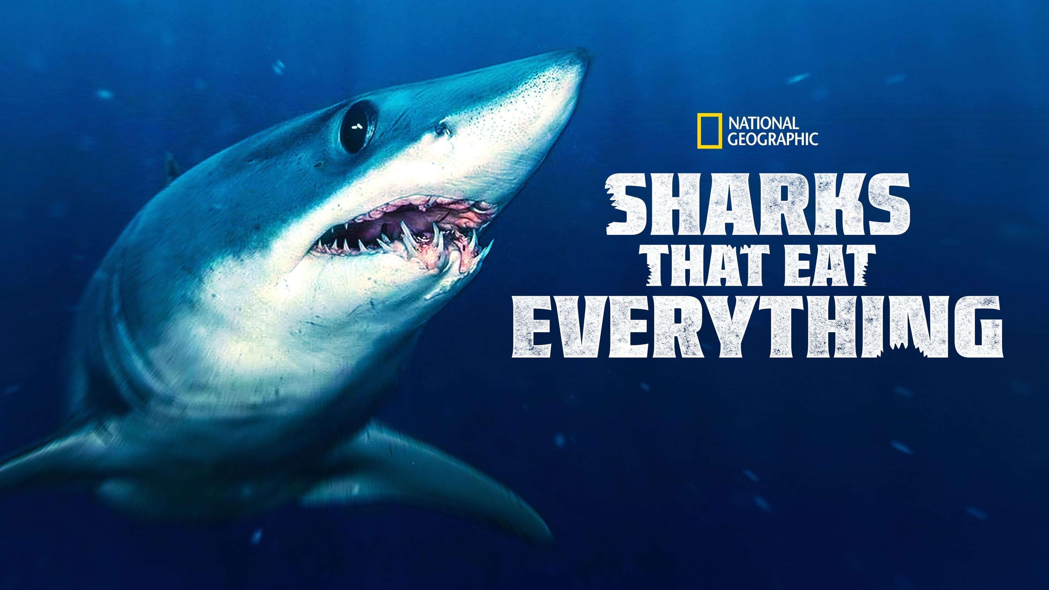 Hajar som äter allt