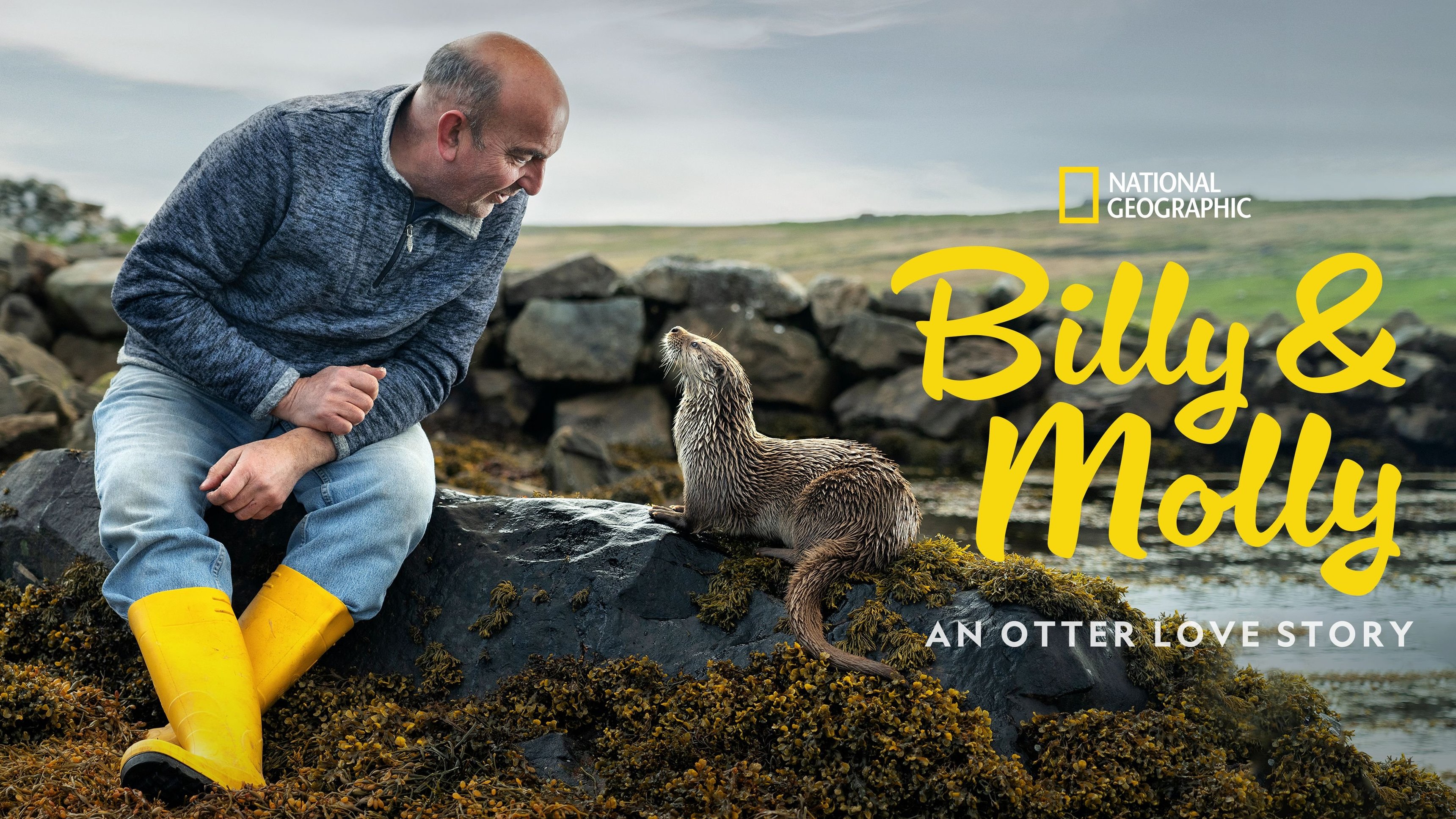Billy and Molly: An Otter Love Story