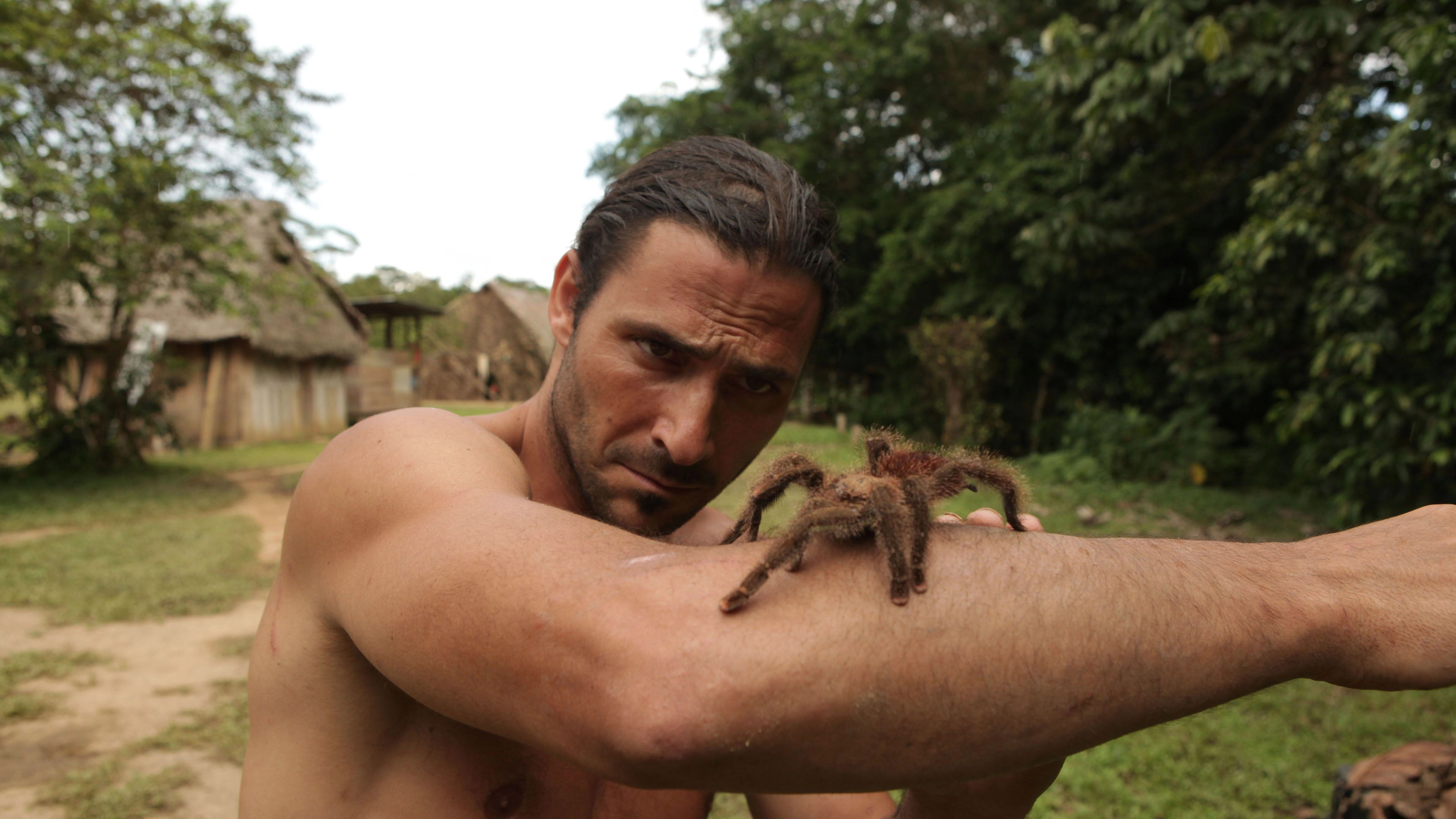 2. Rainforest Masters