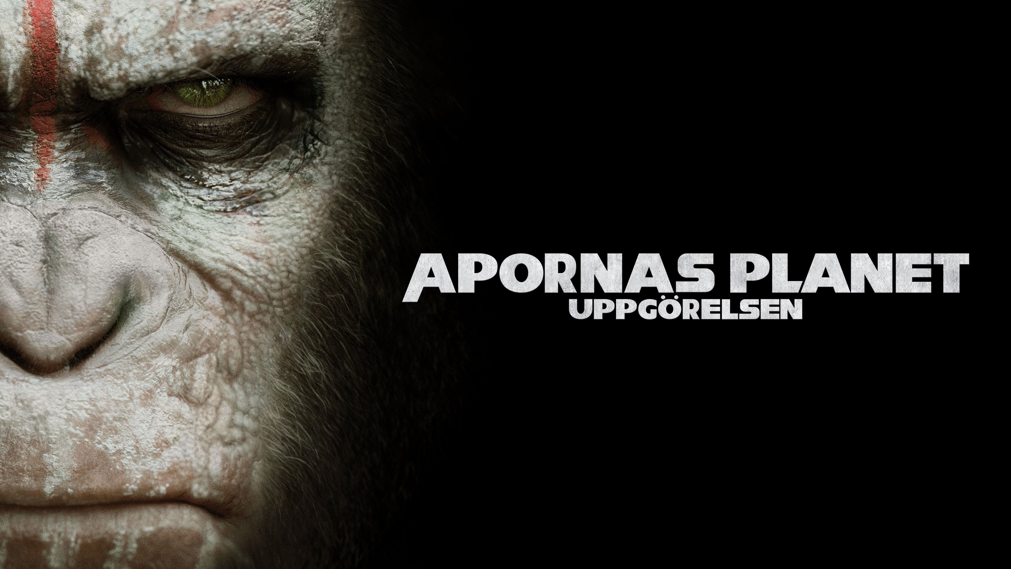 Apornas planet: Uppgörelsen