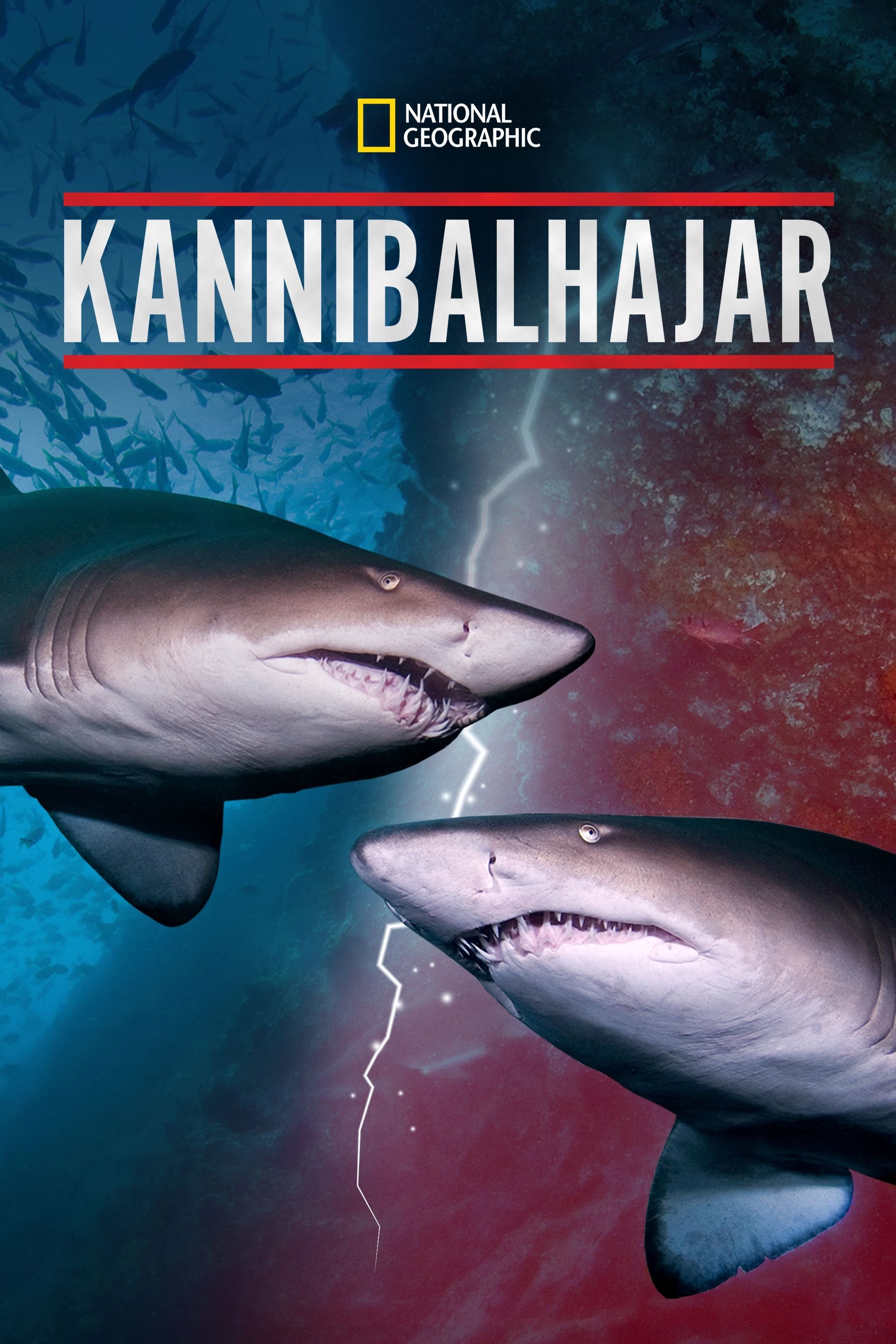 Kannibalhajar