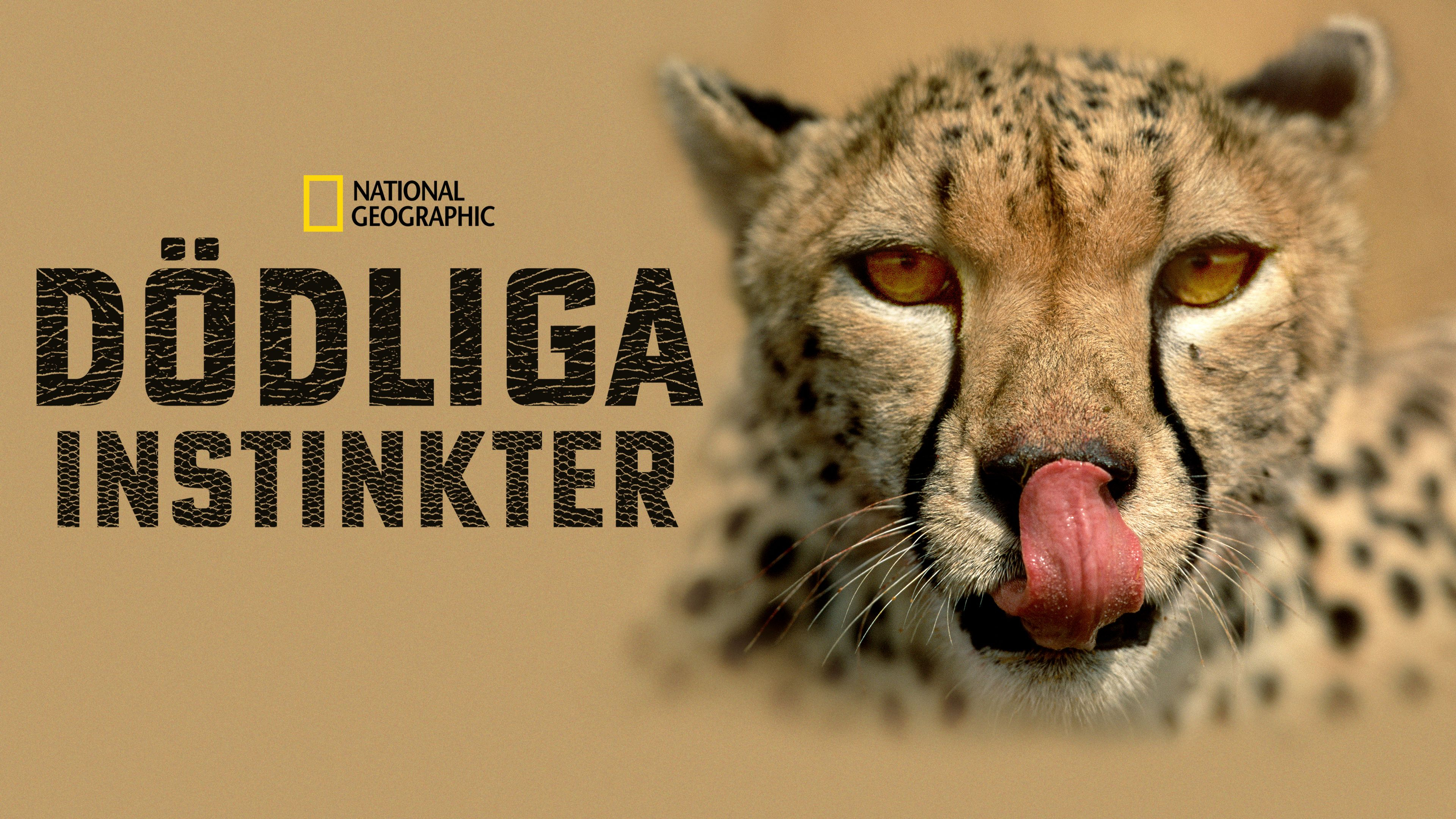 Dödliga instinkter