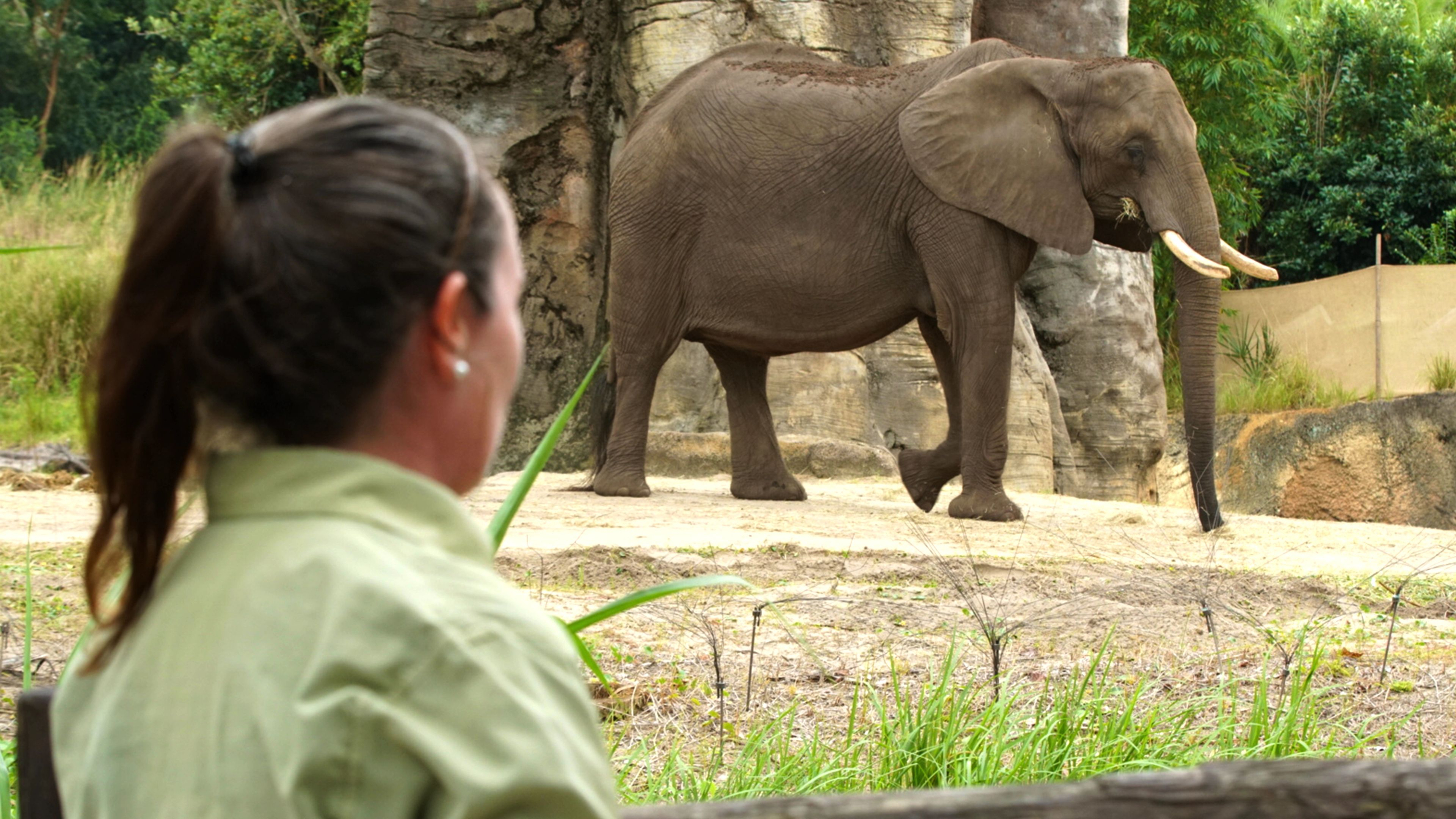 2. Kenya, the Gutsy Giraffe