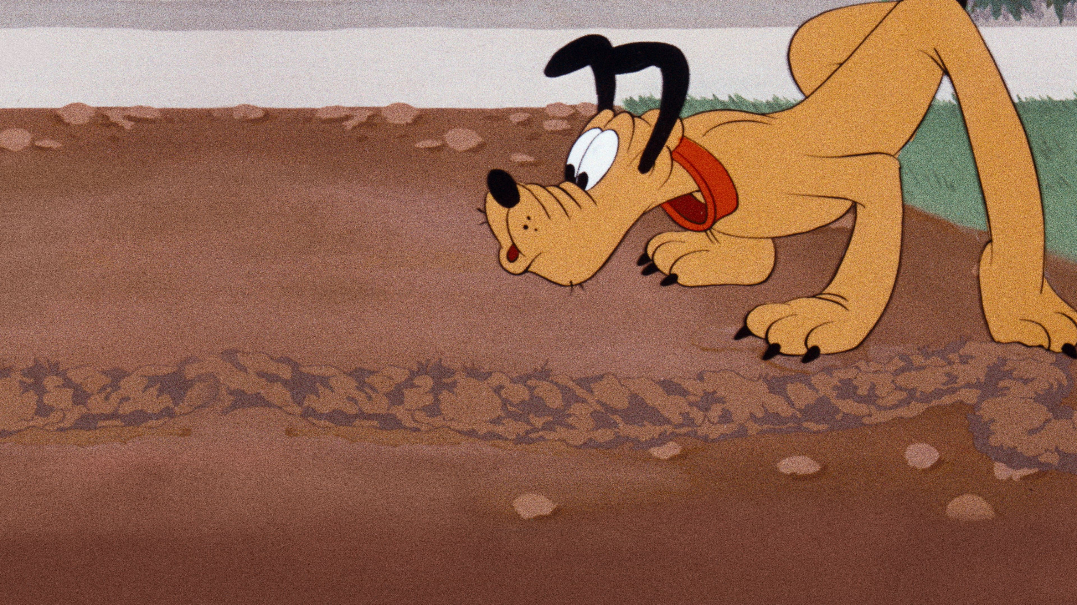 Pluto och kindpåsråttan