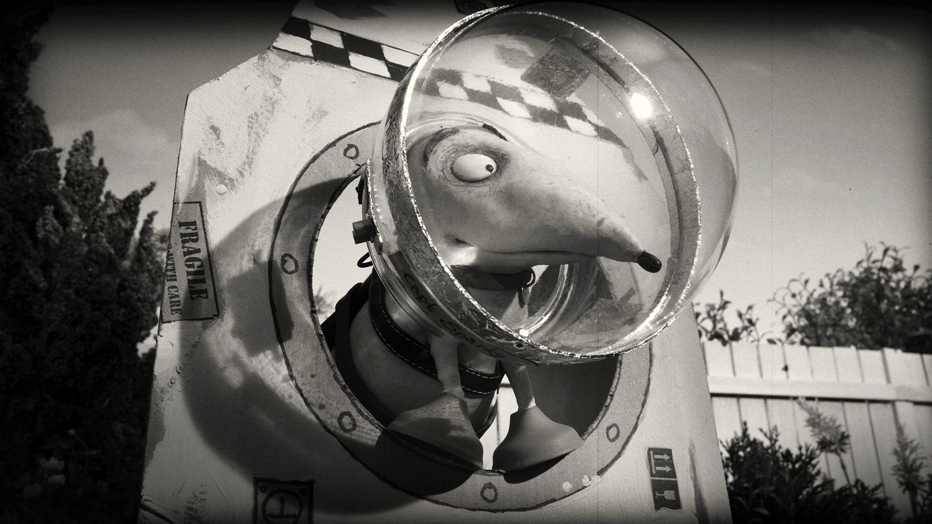 Frankenweenie