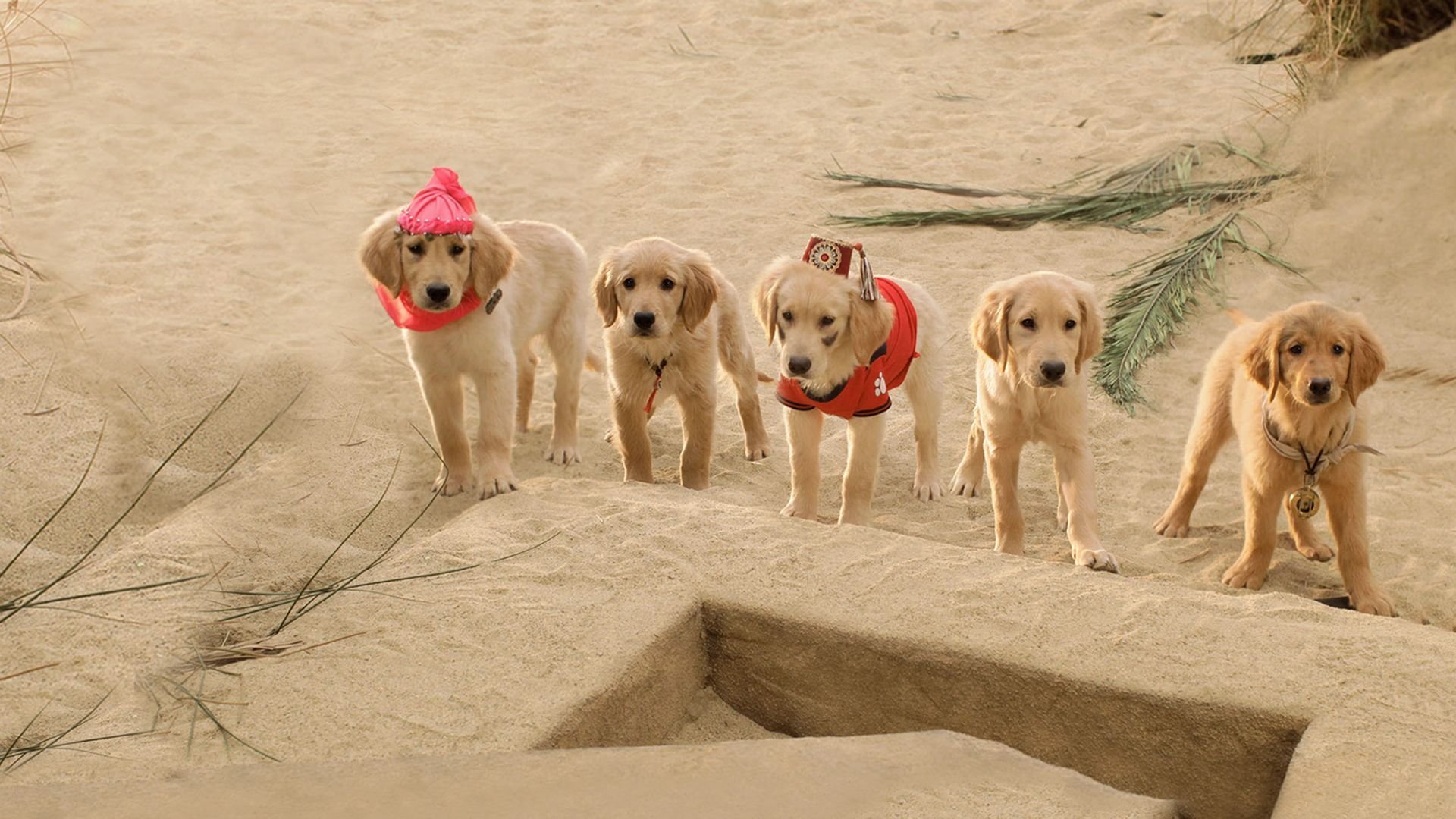 Treasure Buddies