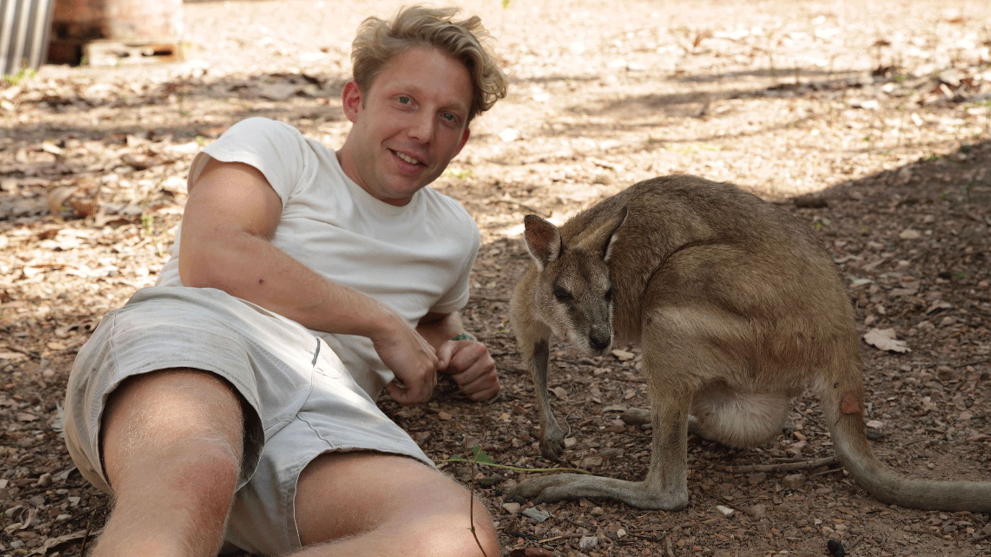 2. The Kangaroo Mob