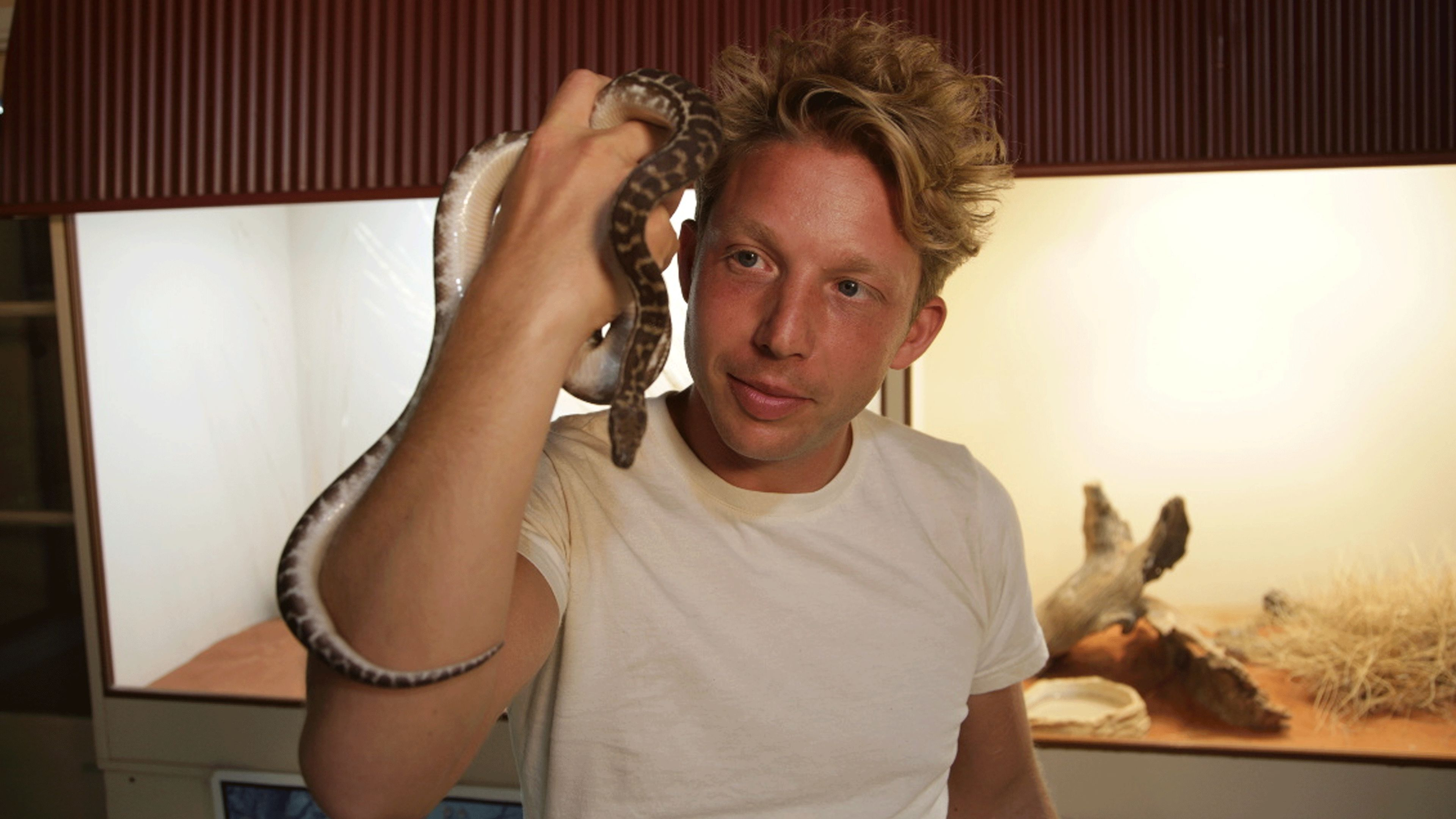 4. The Most Venomous Snakes In The World