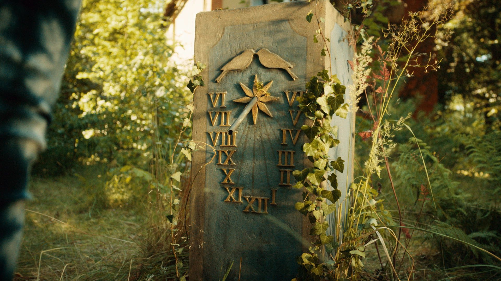 10. I Skogen