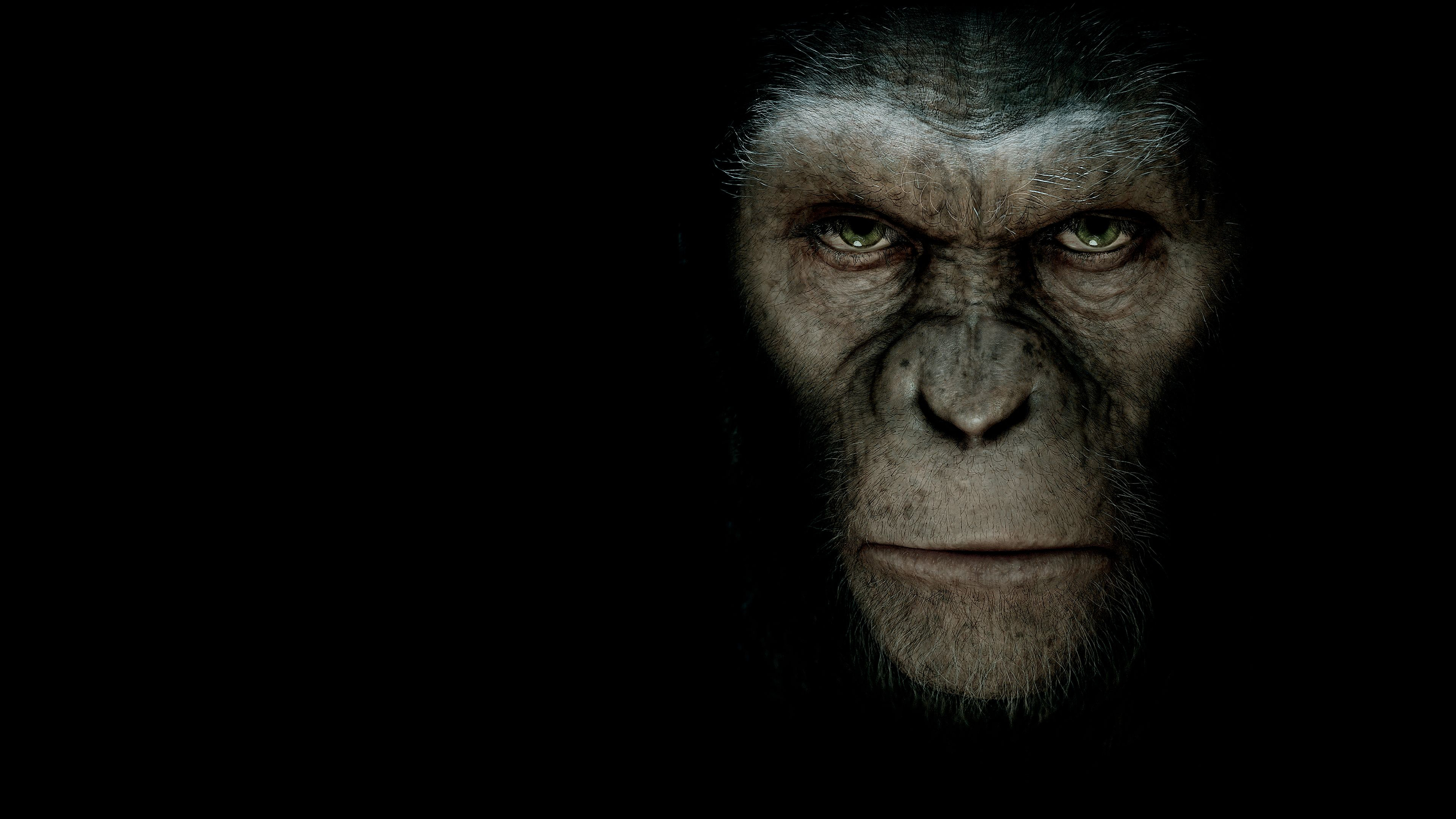 Apornas planet: (r)Evolution