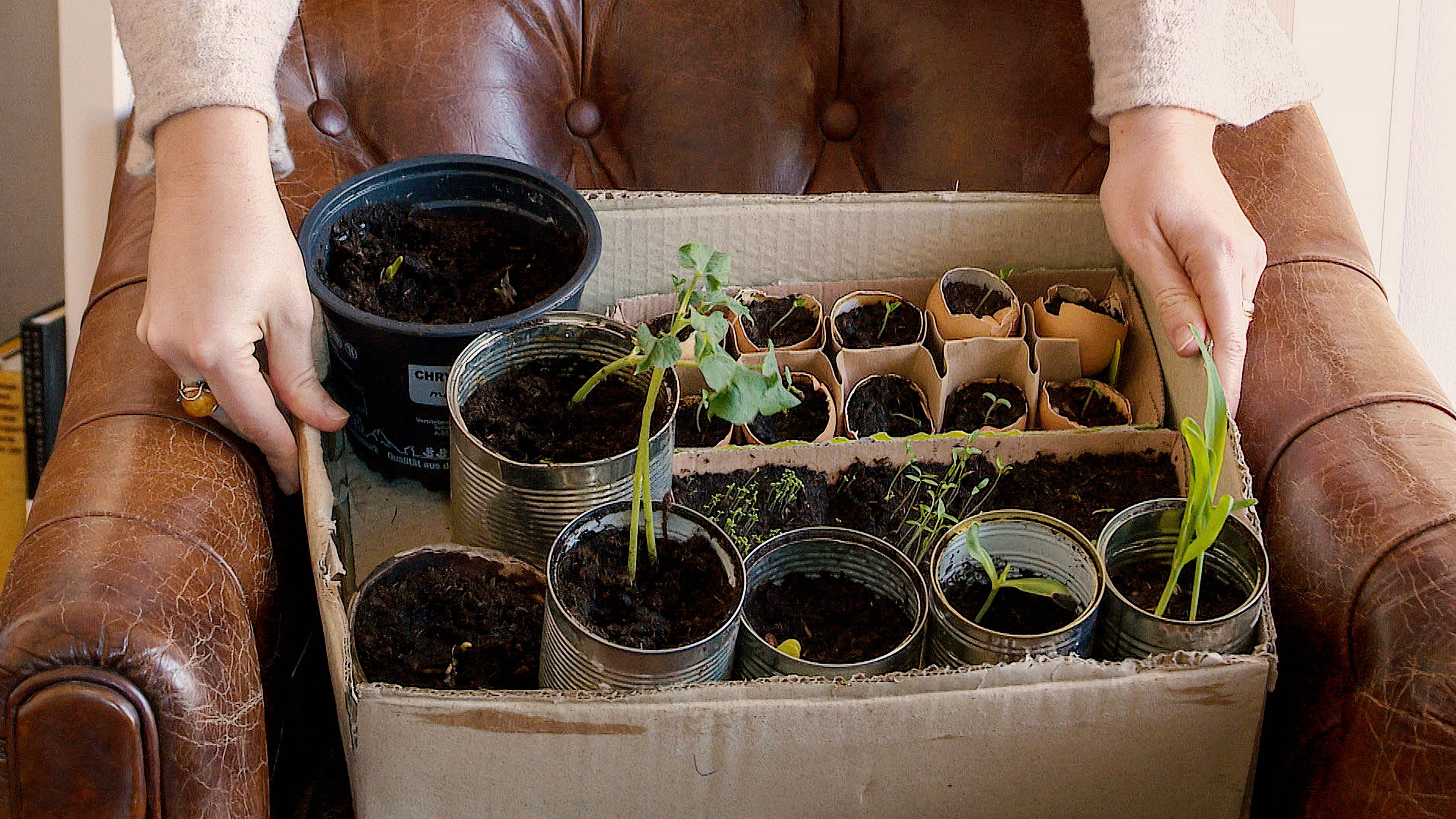 Urban Farming