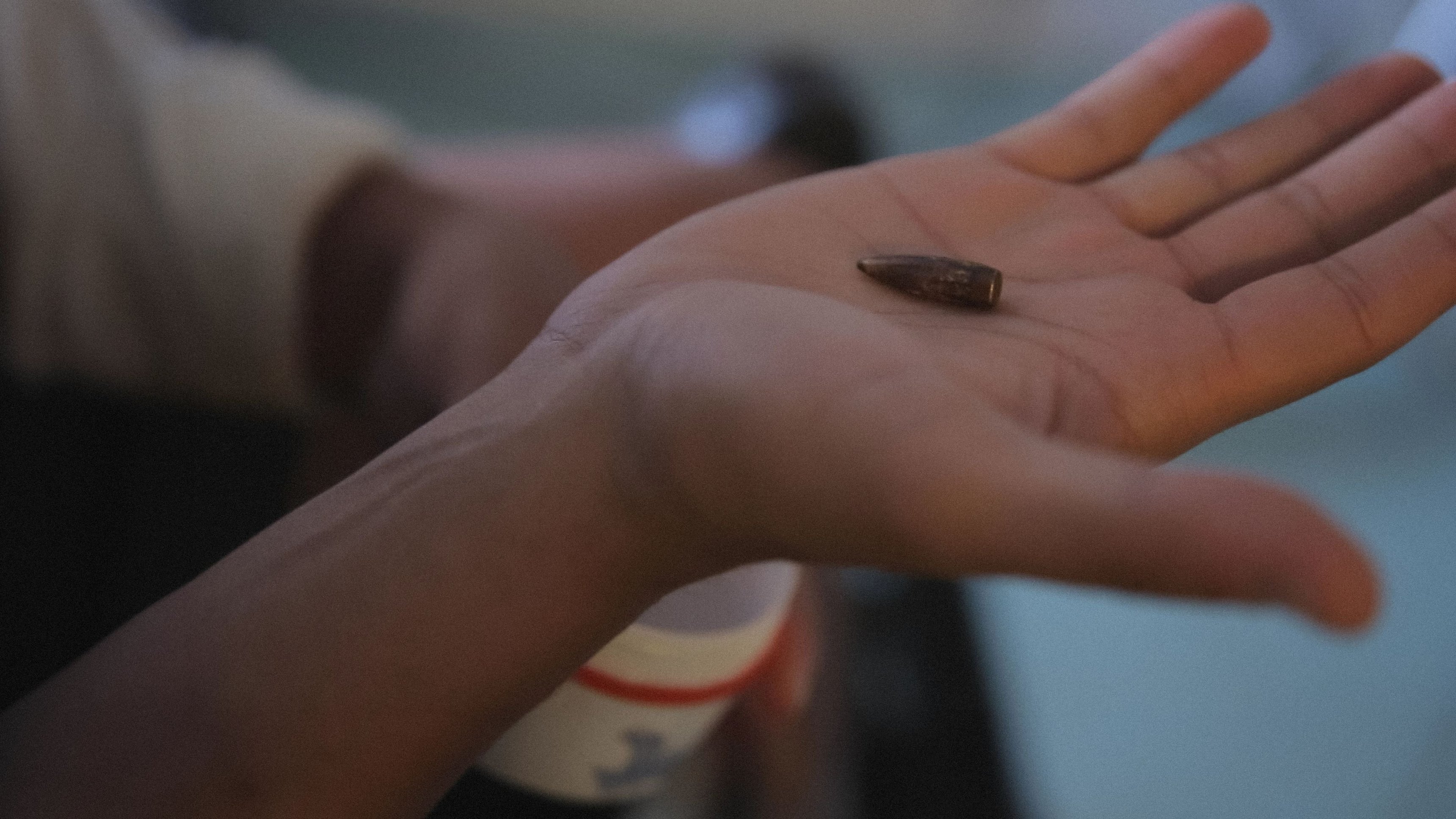 You Will Not Have My Hate