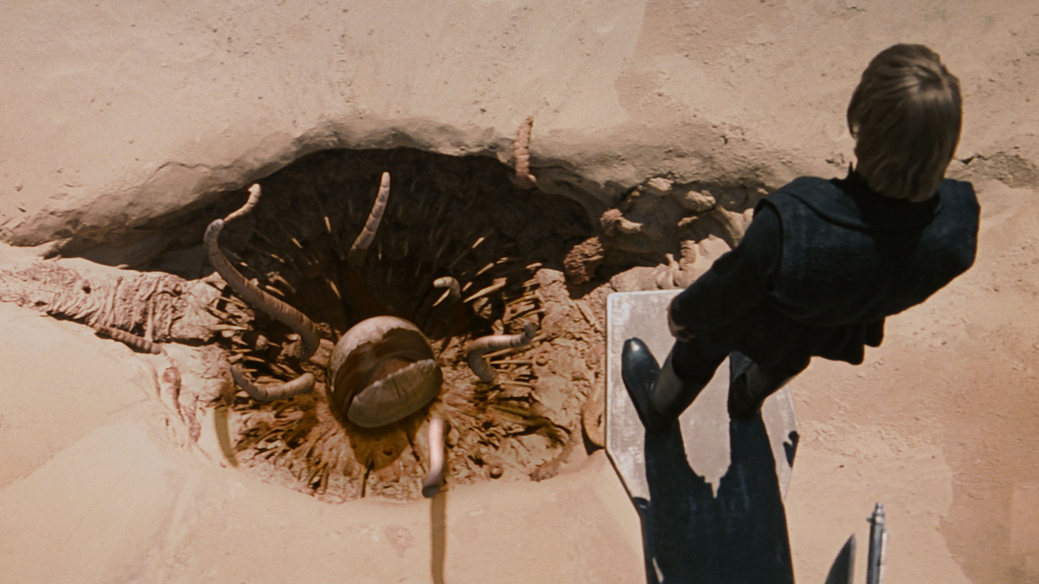 7. Kuriosa