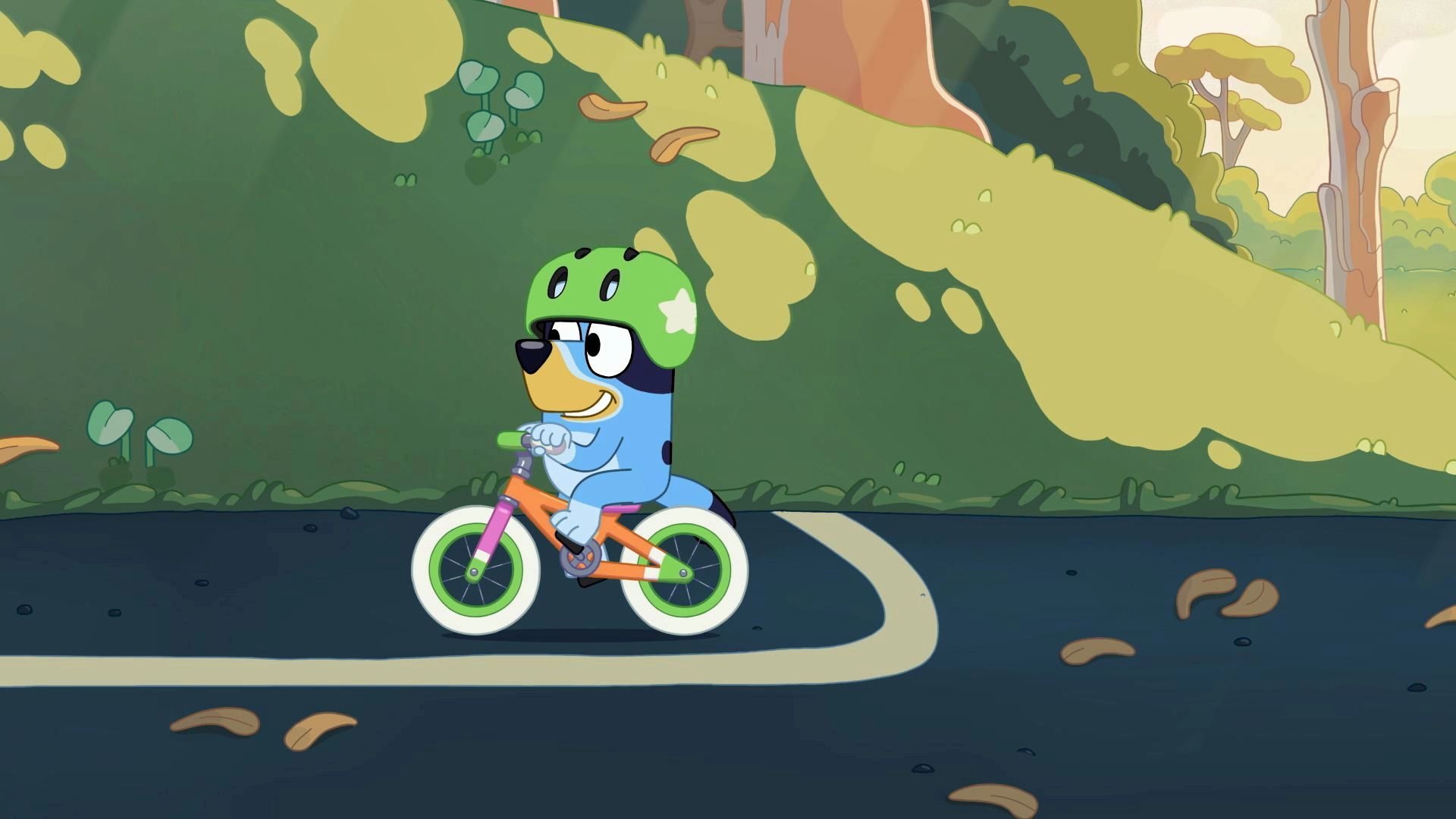 11. Cykel