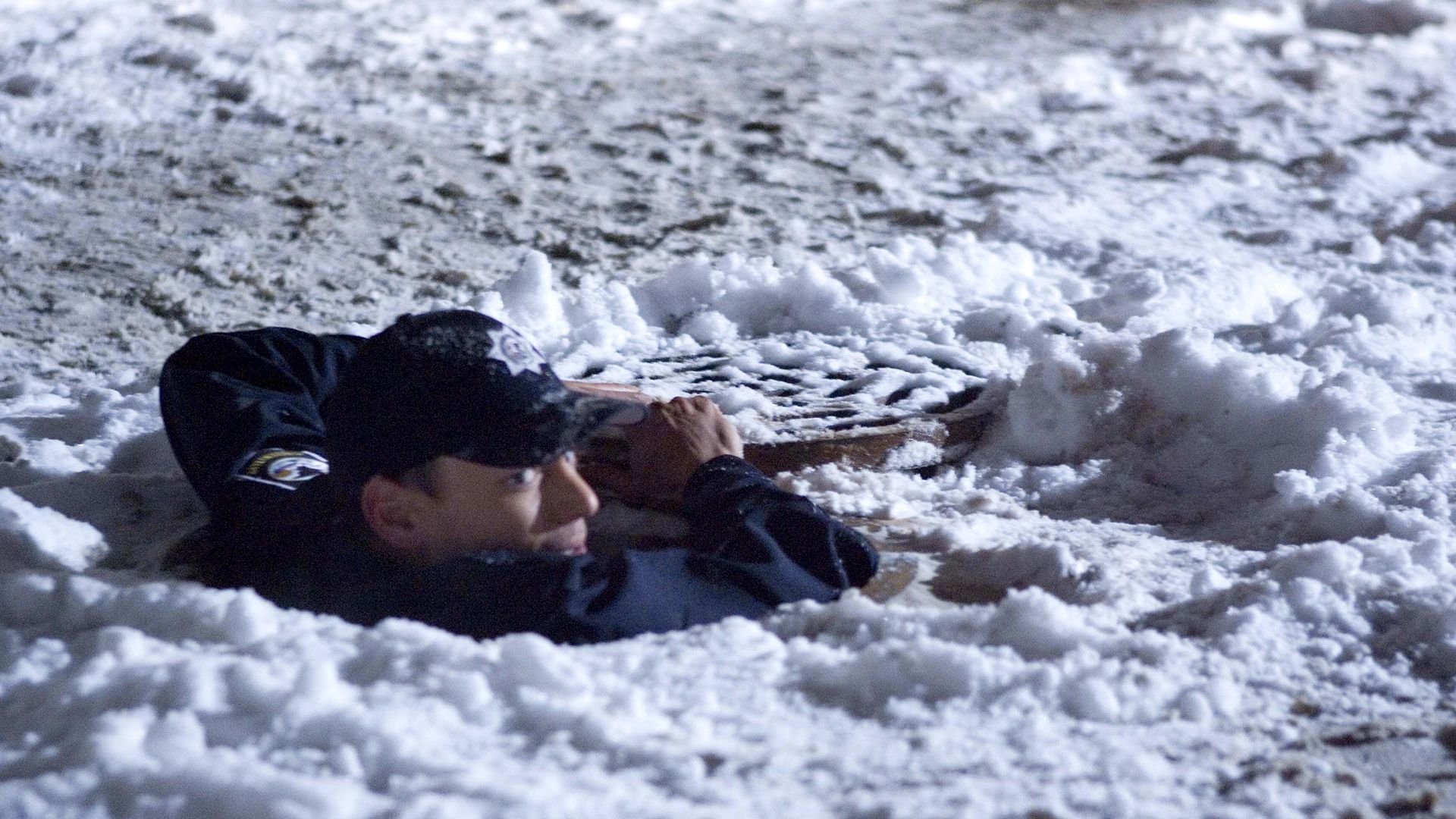 15. By the Skin & the Teeth