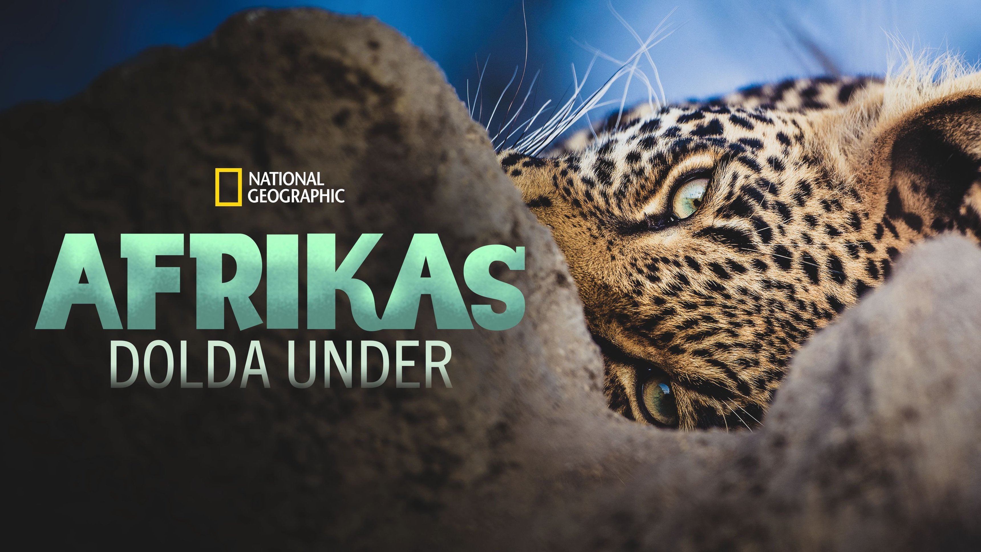 Afrikas dolda under