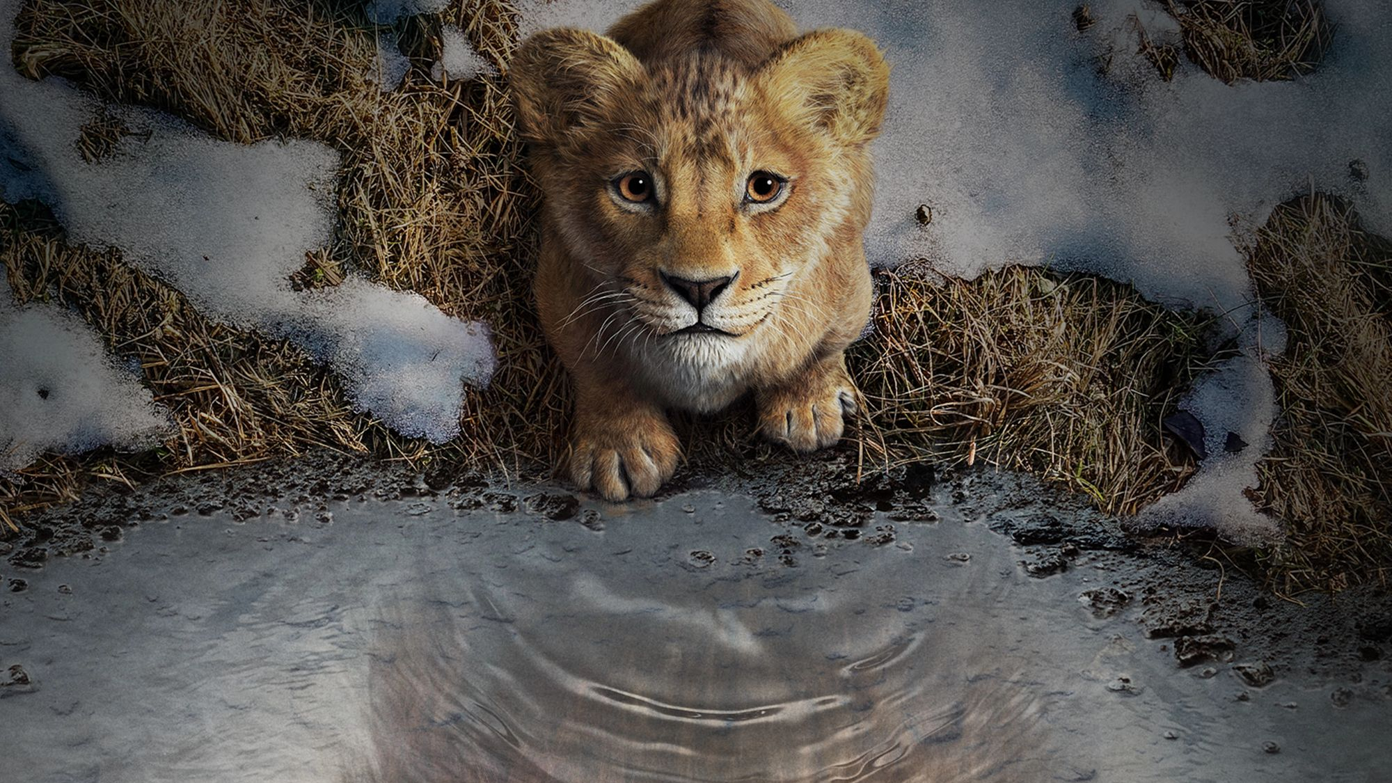 Mufasa: Lejonkungen