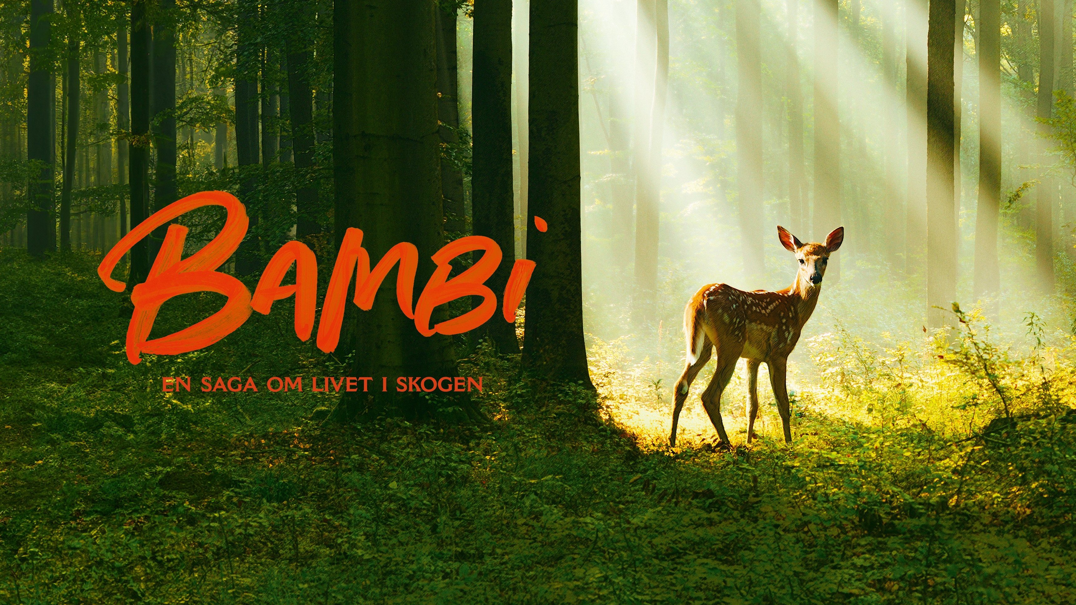 Bambi: En saga om livet i skogen
