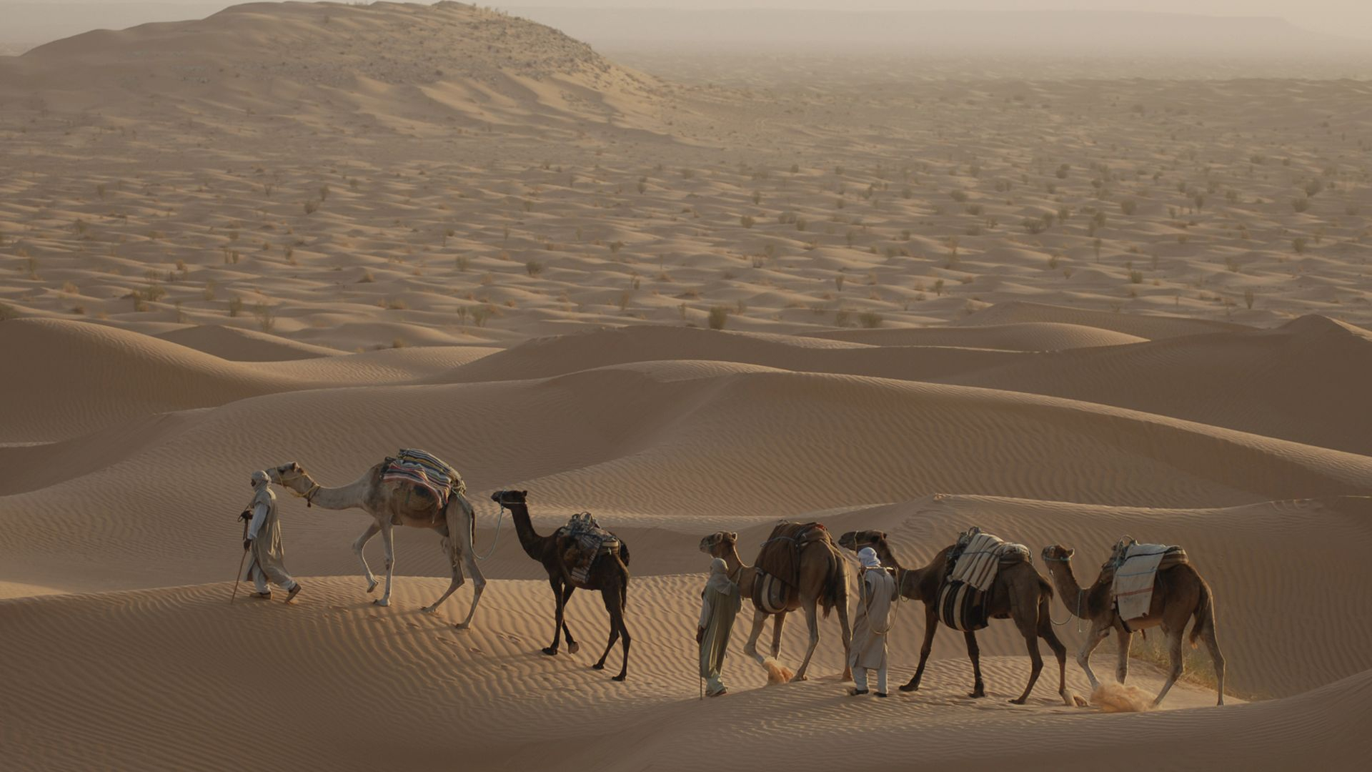 3. Sahara