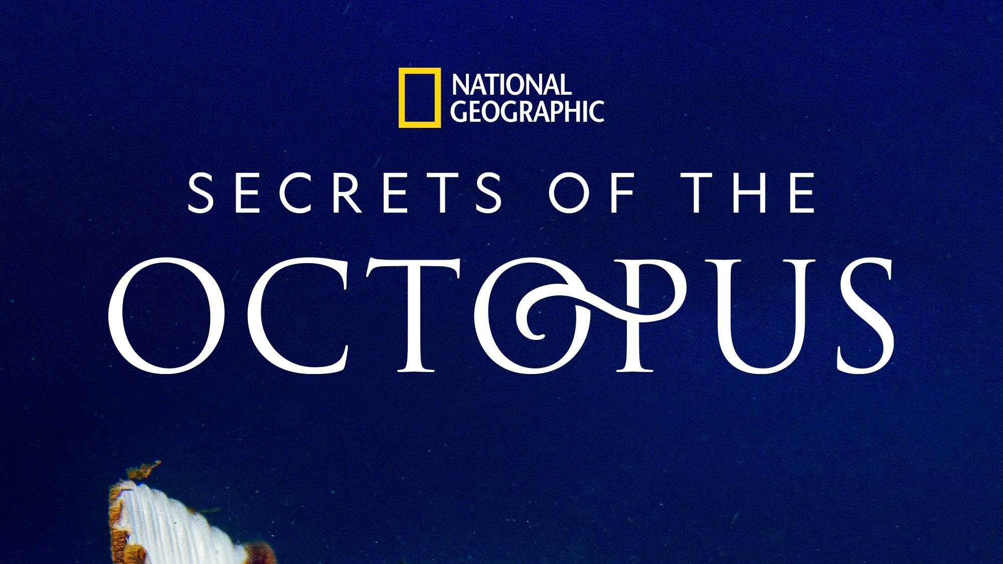 Secrets of the Octopus