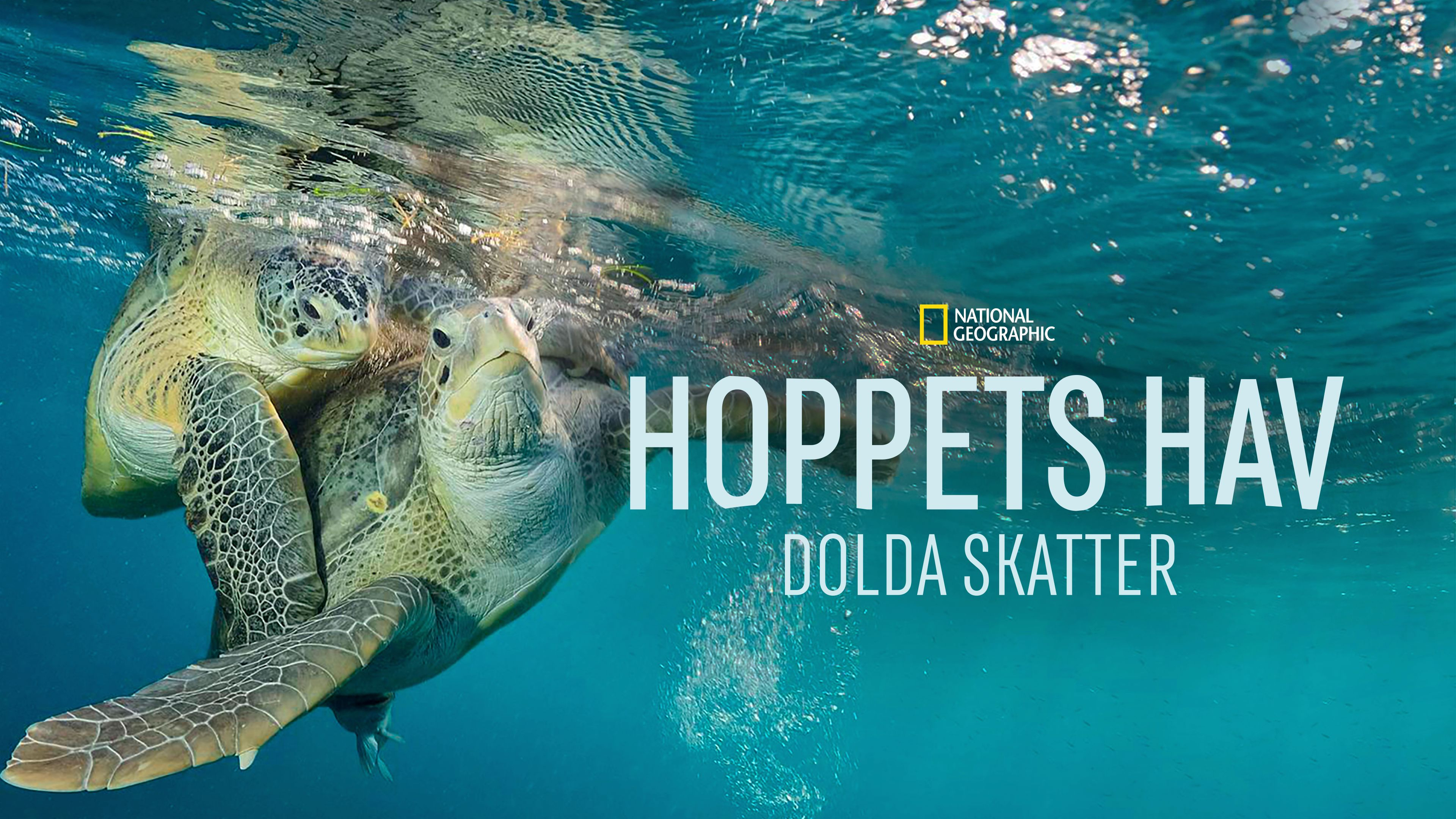 Hoppets hav: Dolda skatter